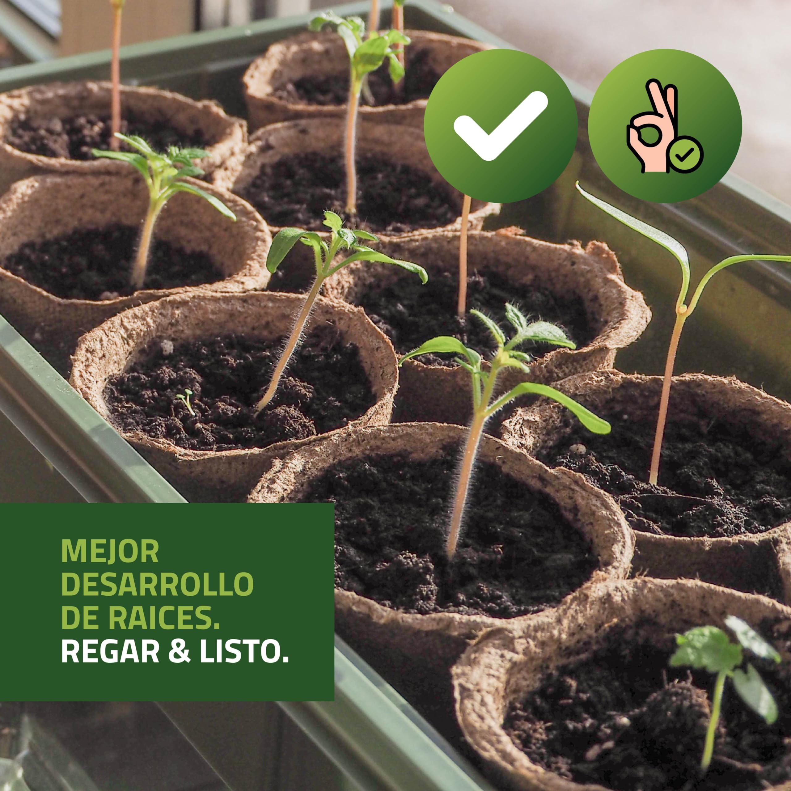 Bandeja de Semilleros de Germinación 104 Alveólos | Propagador de Semillas con Tierra y Orificio para Semilla o Planta | Mejor Desarrollo Raíces | Biodegradable