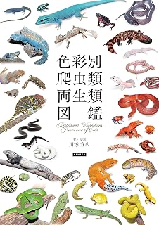 爬虫類行動学書