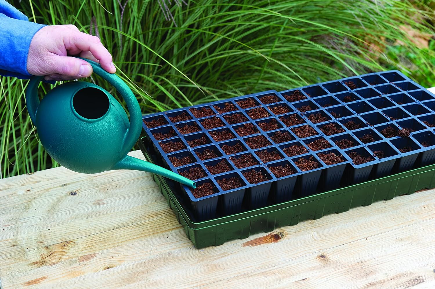 Burpee Self-Watering Seed Starter Tray, 72 Cells & Seed Starter Tray, 32 XL Cells (Self-Watering) : Patio, Lawn & Garden