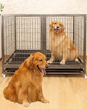Amazon.co.jp: 超大型犬 大型犬 中型犬 ペットケージ 犬用
