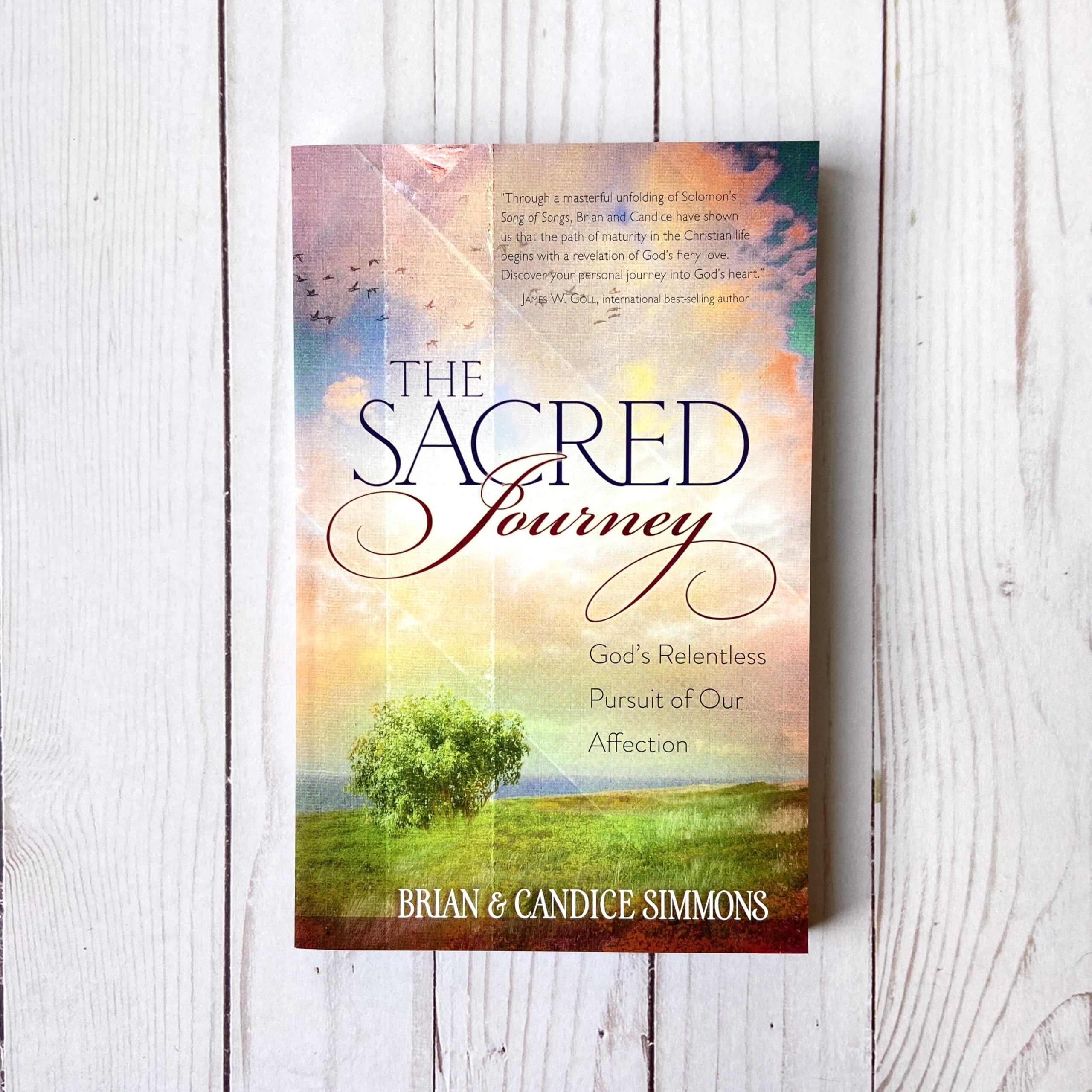 The Sacred Journey: God's Relentless Pursuit of Our Affection (The Passion Translation, Paperback) A Heartfelt Translation of the Song of Songs, ... Song of Songs: A Divine Romance Devotional