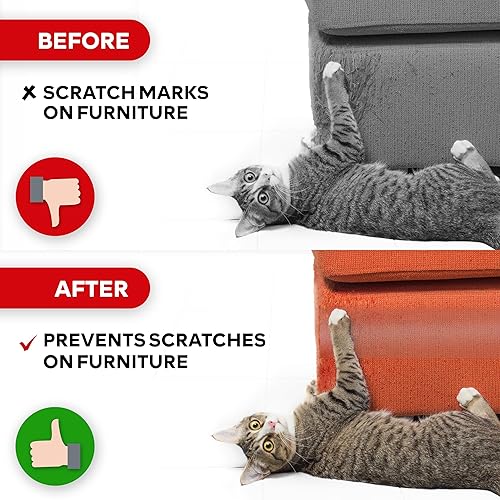 Miniatura 4 de XFasten Cinta de entrenamiento para gatos antiarañazos, transparente, 2.5 pulgadas x 15 yardas (rollo individual), puerta, sofá, muebles y piel