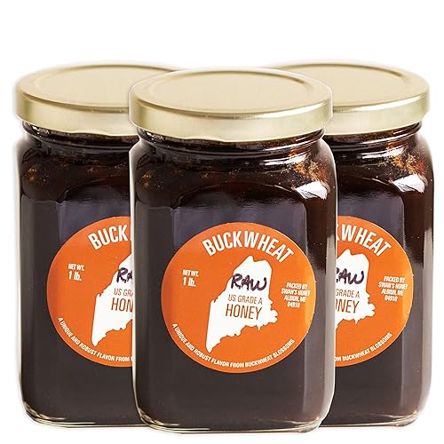 Miniatura 1 de Miel de trigo sarraceno crudo de Swan's - Notas sólidas, audaces, ricas, miel de grado A de Estados Unidos, tarro de vidrio de 16 onzas, 16.01oz (3
