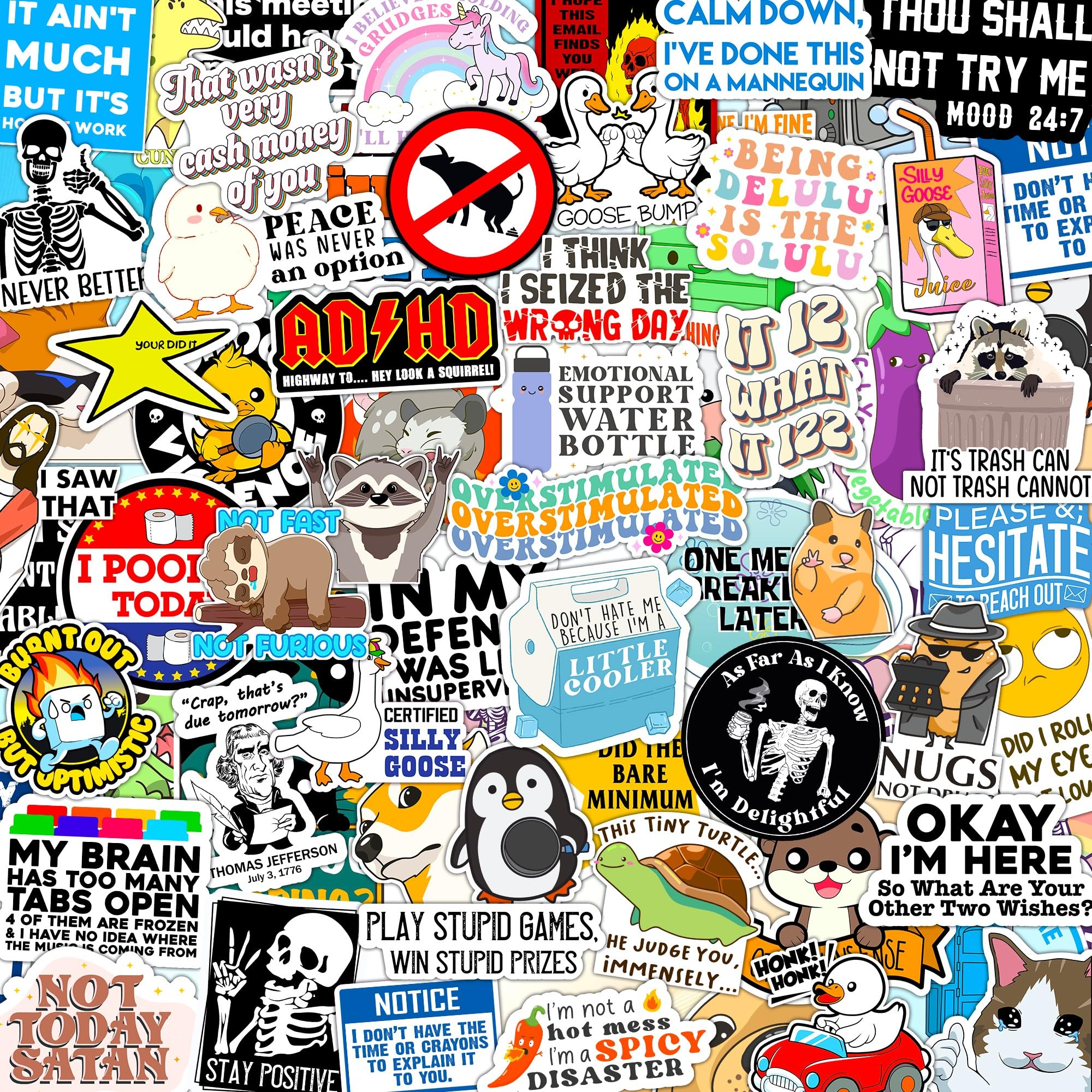 123PCS Stickers Pack for Adults, Women, Nurses, Bulk Sarcastic Sticker Pack for Water Bottles, Laptop, Bumper, Phone, Window Bumper Humor Joke Vinyl Waterproof