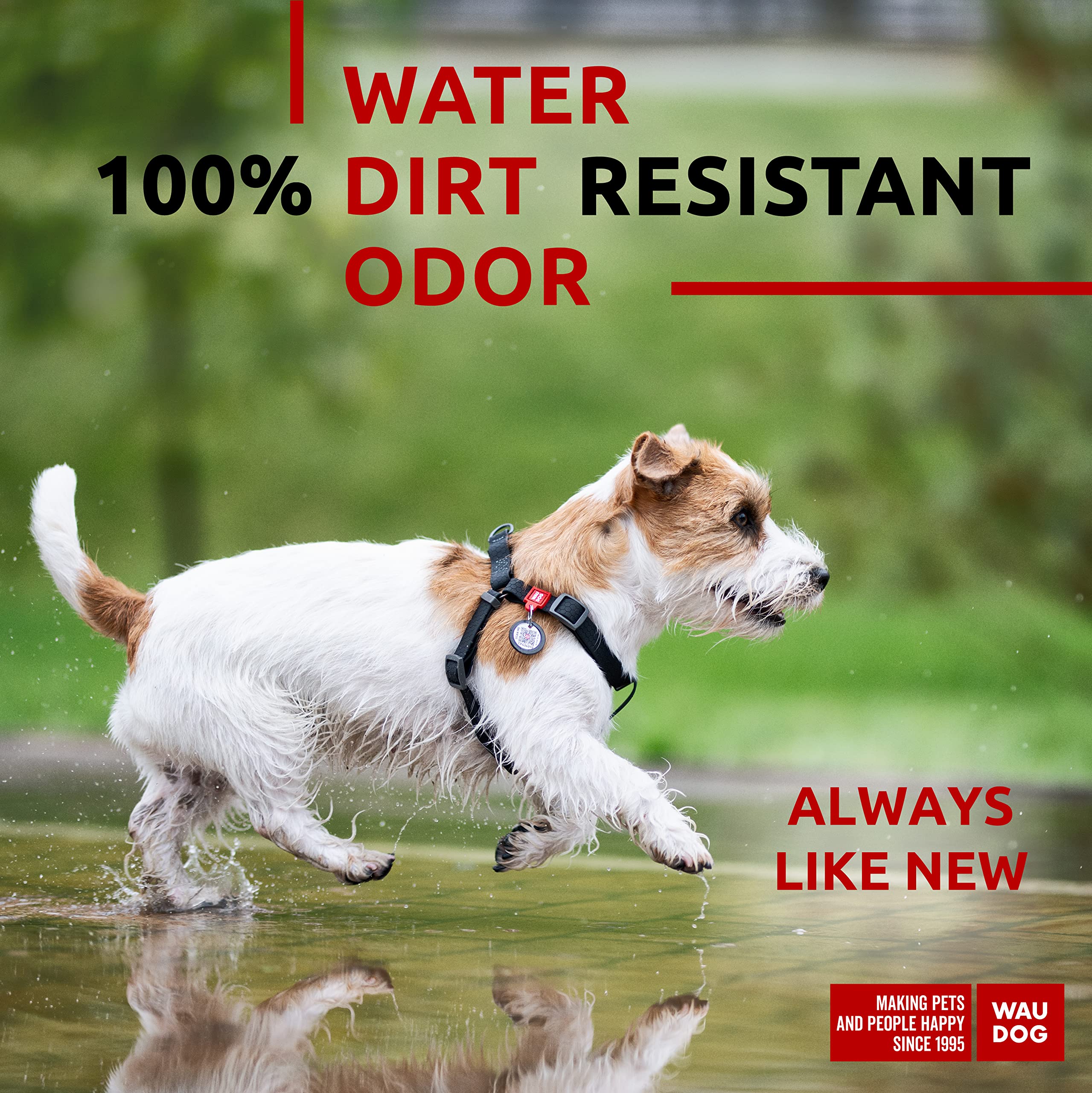Amazon.com : WAUDOG Waterproof Harness - Adjustable for Amazon.com : WAUDOG Waterproof Harness - Adjustable for