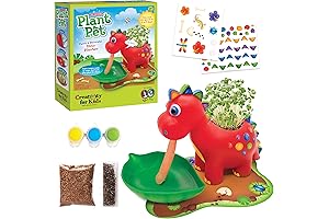 Fun Dinosaur Seed-growing Playset for Kids