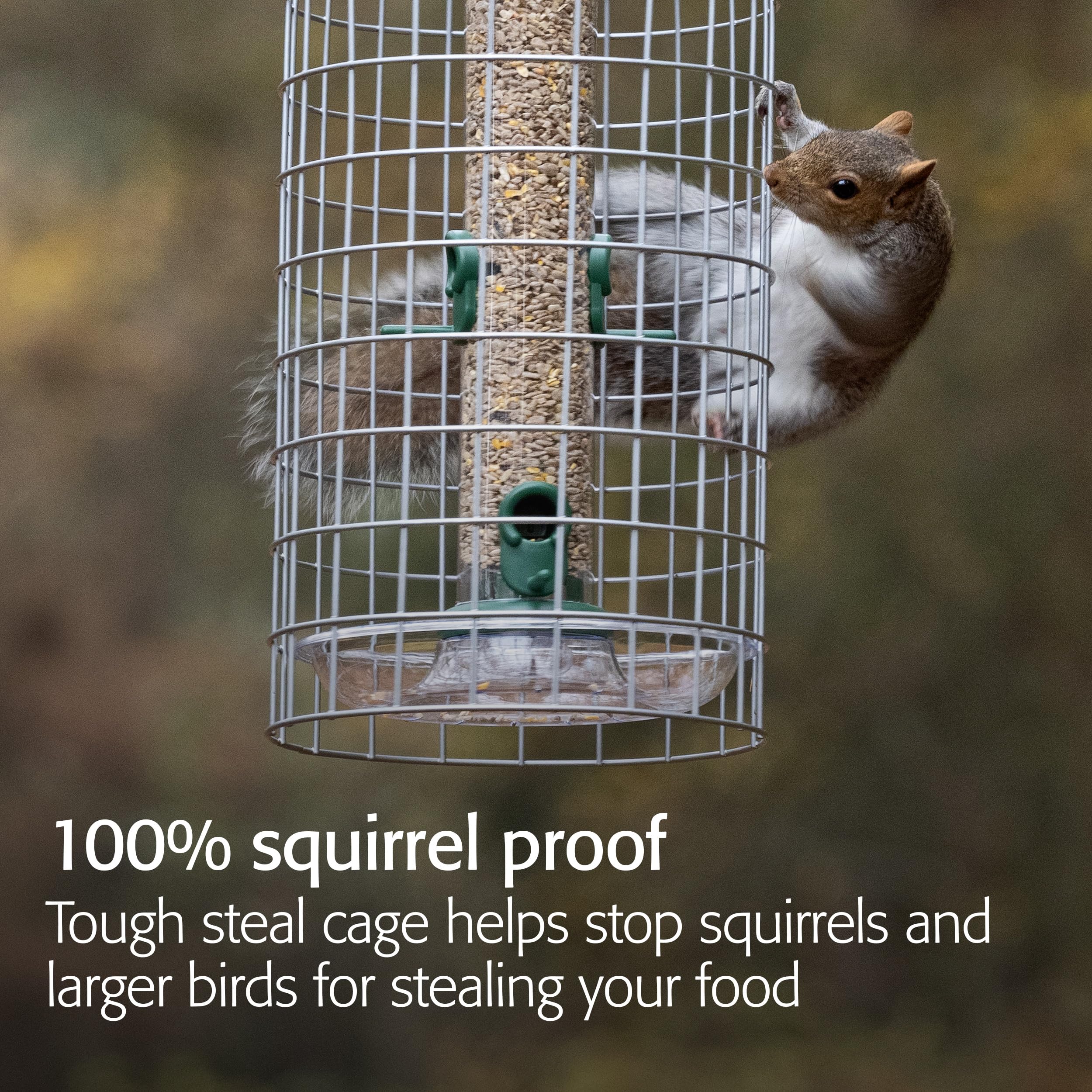 View 2