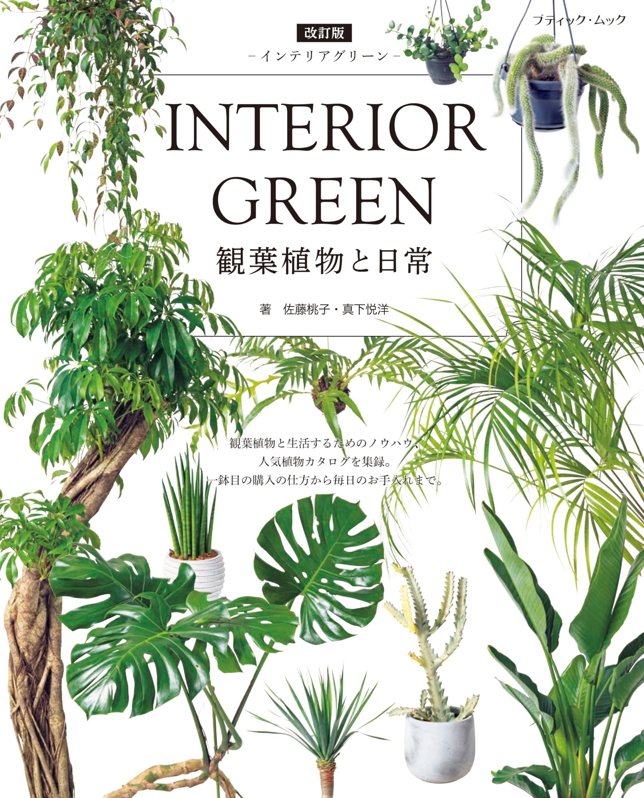 改訂版 INTERIOR GREEN インテリアグリーン (ブティックムックno.1752