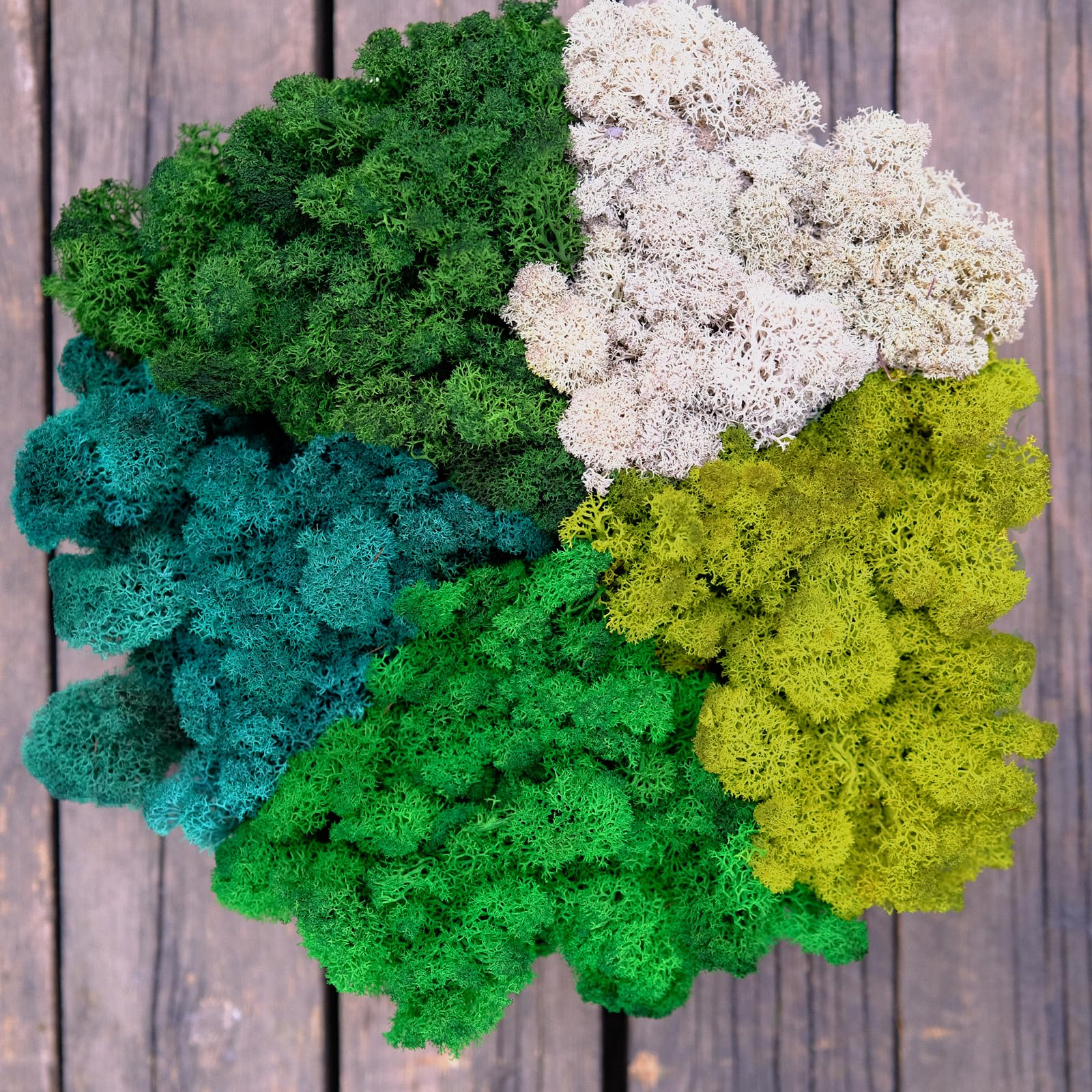 Prefleur Preserved Reindeer Mix Craft Moss Natural Green DIY Kit Gardenning Art Wall Decor Florist Easter Table Decor Wedding Decor (1lb)(White-01 Green-08 Green-13 Green-17 Green-4)(Style-32)