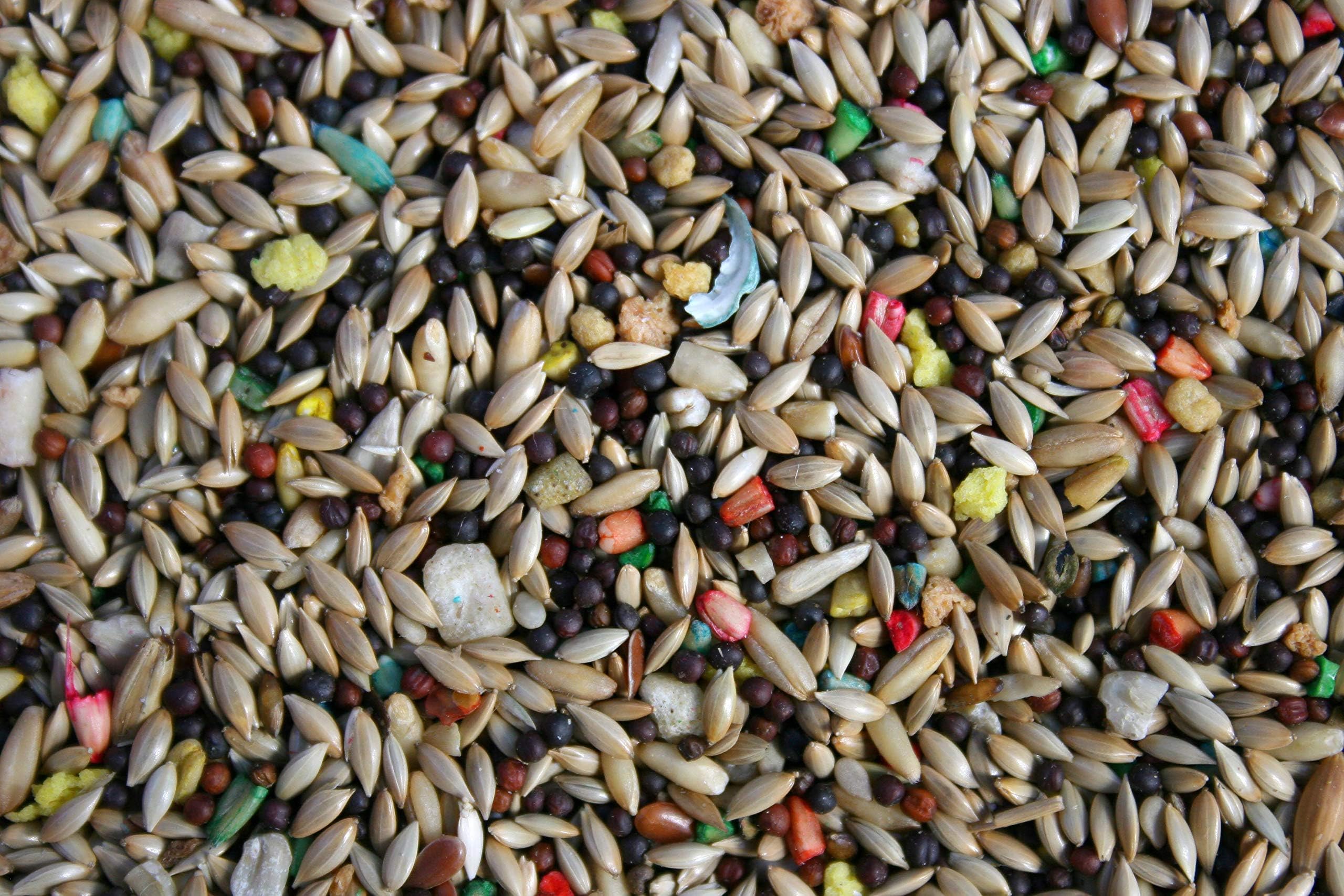 30 LBS of ABBA 1700 Canary Seed Mix