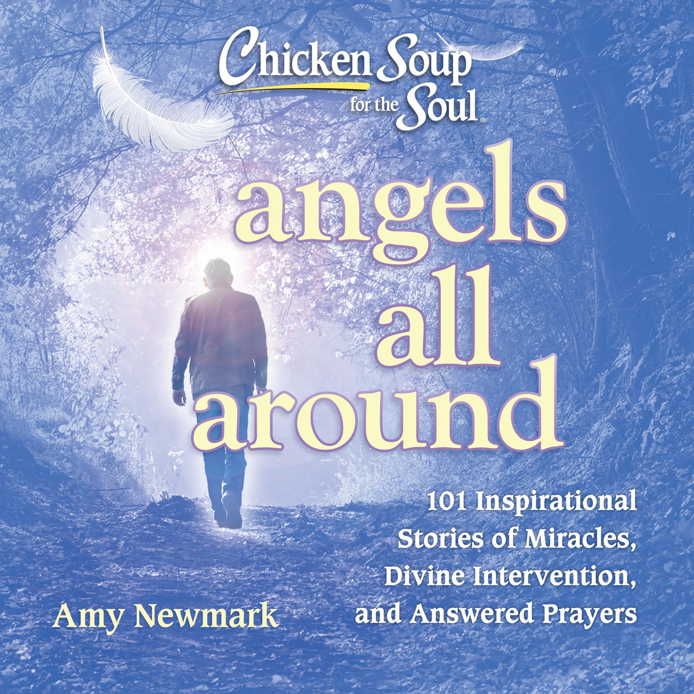Cover art for Chicken Soup for the Soul: Angels All Around