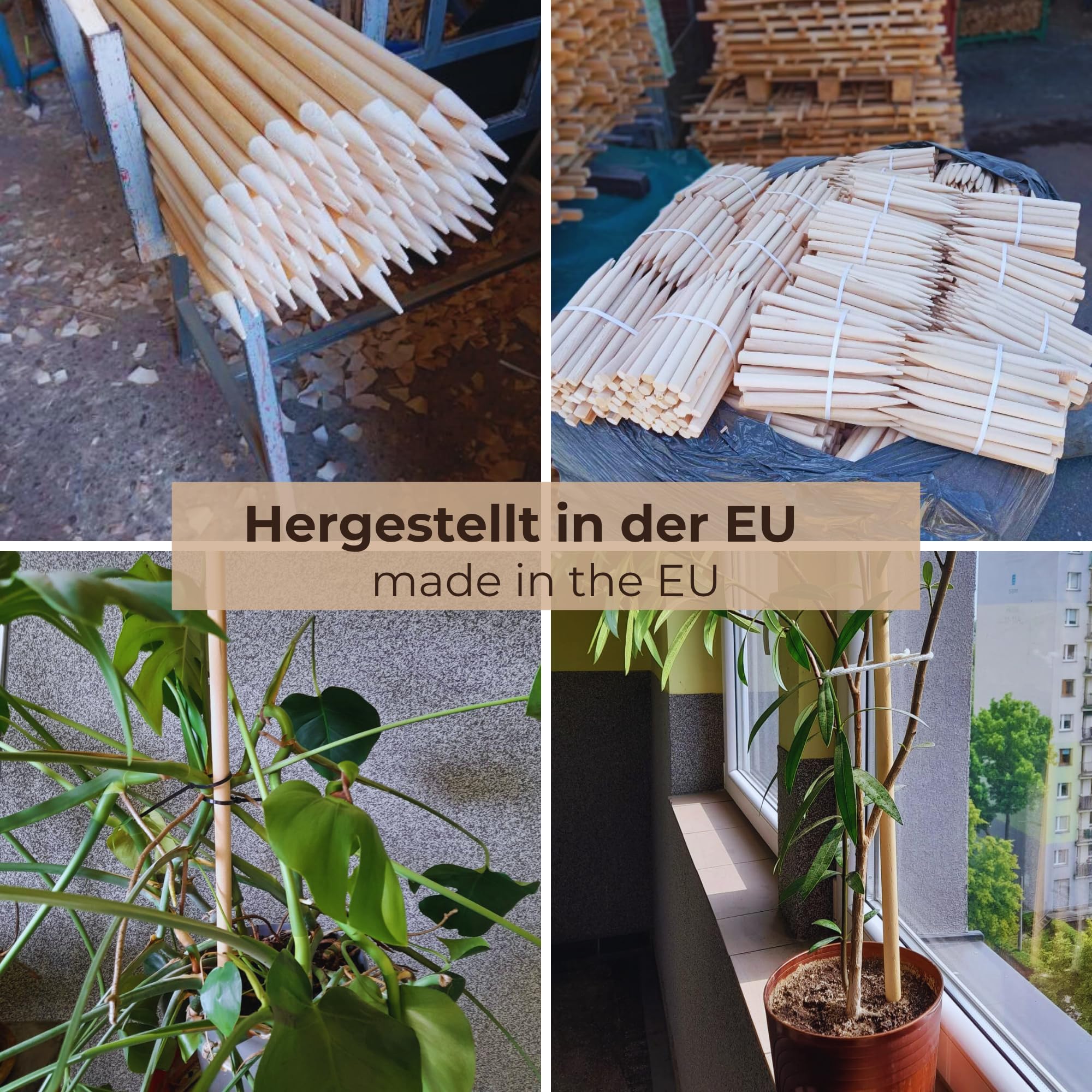 50 Estacas Madera Haya Ovaladas ⌀18 mm x 78 cm – Poste para Cercas y Árboles – Tutores Robustos para Plantas y Tomates