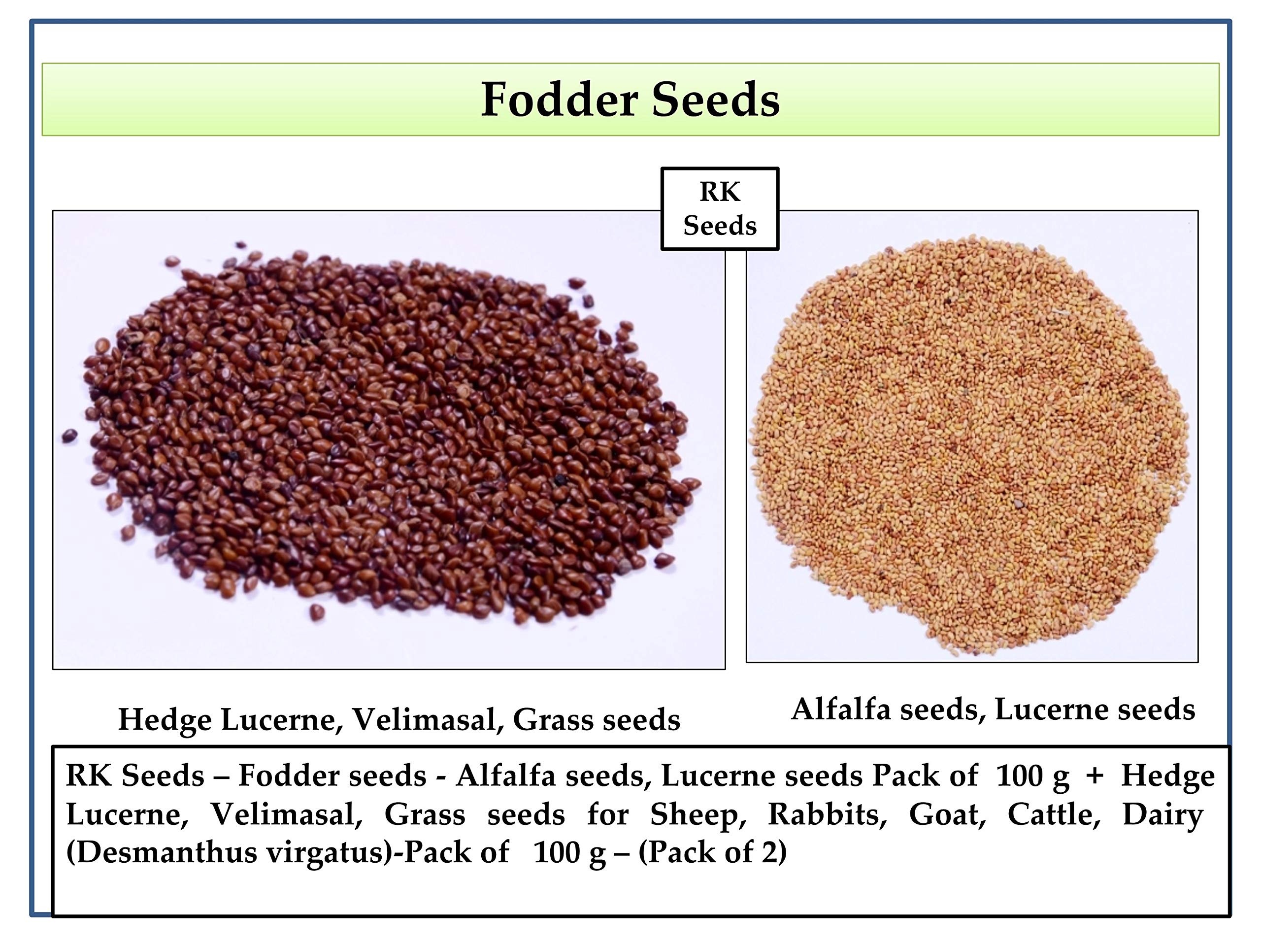 See full amazon price history chart for RK Seeds – Fodder seeds - Alfalfa seeds, Lucerne seeds Pack of 100 g + Hedge Lucerne, Velimasal, Grass seeds for Sheep, Rabbits, Goat, Cattle,Dairy (Desmanthus virgatus)-Pack of 100 g – (Pack of 2) RK Seeds – Fodder seeds - Alfalfa seeds, Lucerne seeds Pack of 100 g + Hedge Lucerne, Velimasal, Grass seeds for Sheep, Rabbits, Goat, Cattle,Dairy (Desmanthus virgatus)-Pack of 100 g – (Pack of 2) (B07MD7WRTD) Amazon Price History, Amazon Price Tracker