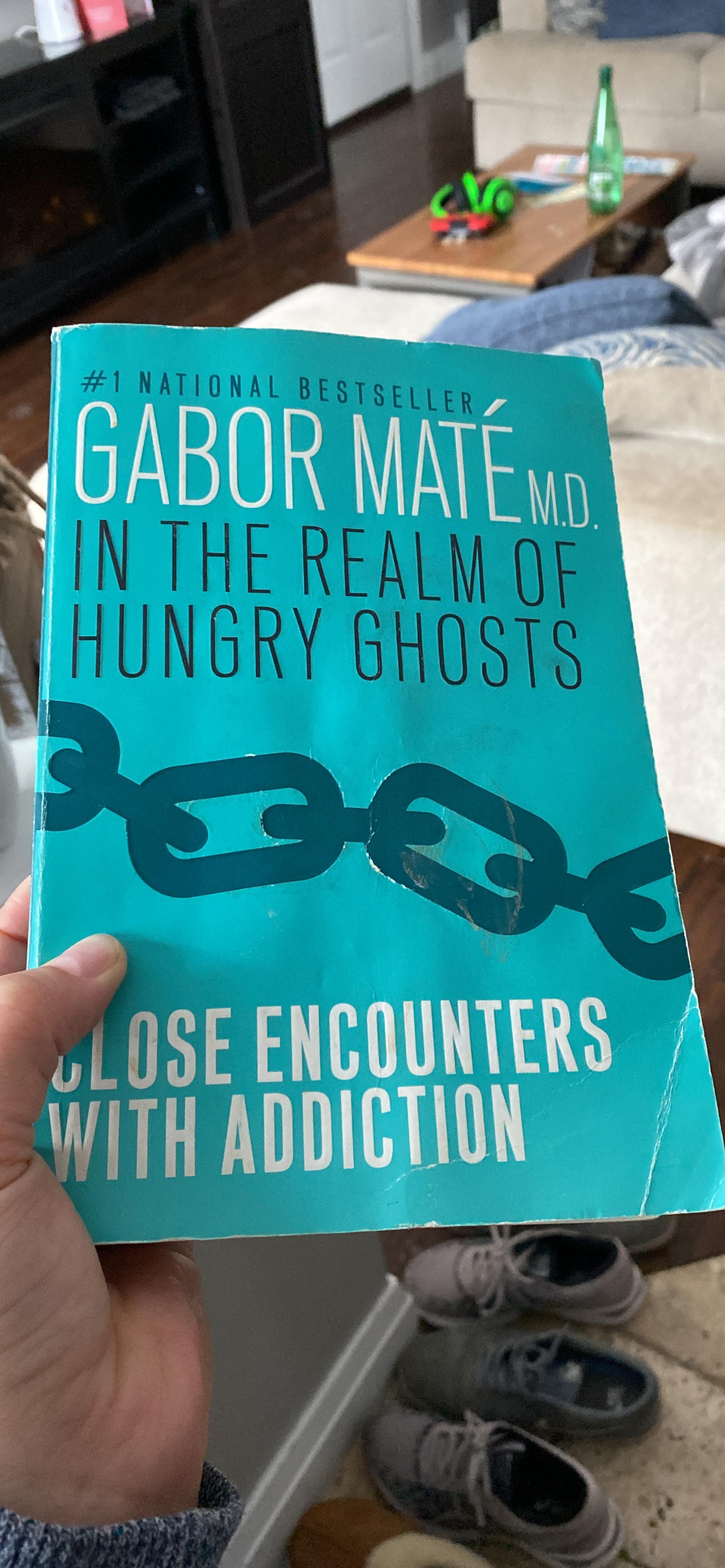 In the Realm of Hungry Ghosts: Close Encounters with Addiction: Maté MD ...