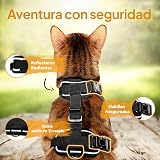 Ver la foto 4