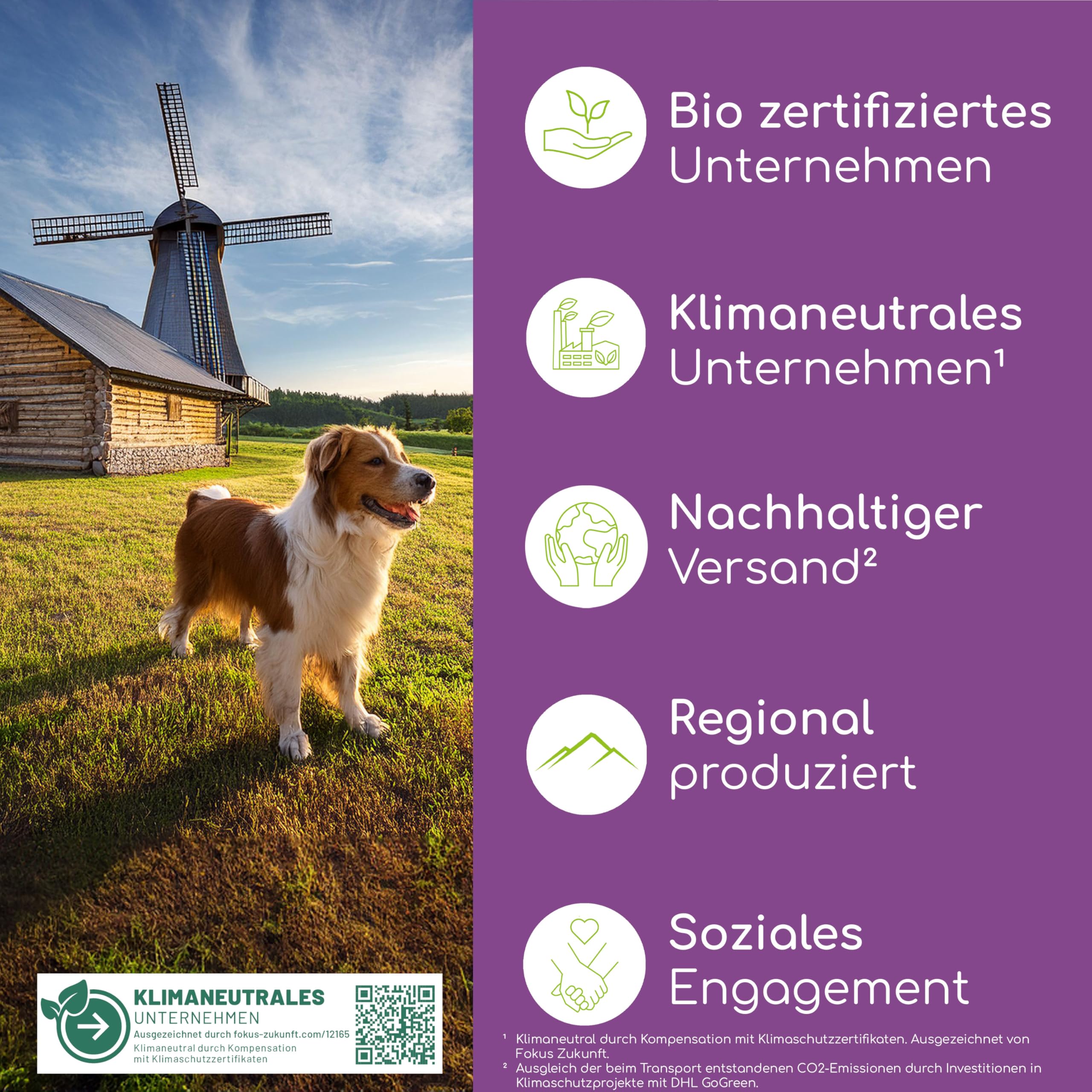 Beruhigungs-Snacks für Hunde – 125 Anti-Stress Leckerli zur Entspannung – Mit Baldrian, Johanniskraut & L-Tryptophan – Hilfe bei Angst, Silvester & Autofahrt – Innere Ruhe
