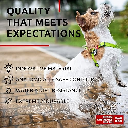 Miniatura 4 de WAUDOG Arnés impermeable ajustable para perros grandes, pequeños y medianos, resistente con cierre de metal duradero y etiqueta QR, para niño y