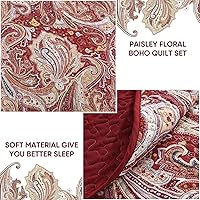 Vista 84 de DJY Juego de edredón de cachemira marrón, tamaño Queen, juego de colcha bohemia de 3 piezas, ropa de cama de microfibra suave y ligera con estampado