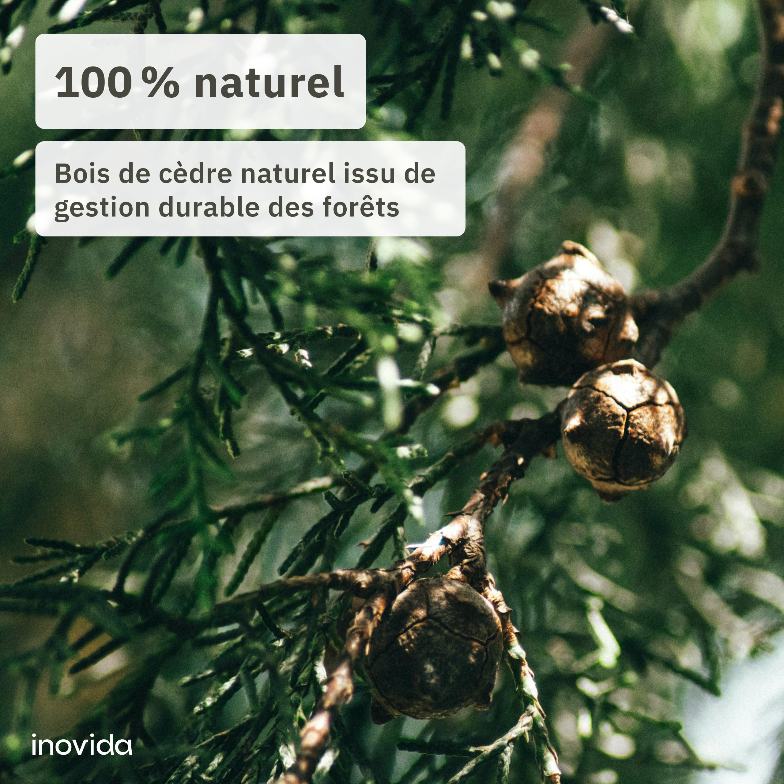 Protection Anti-Mites en Bois de Cèdre pour Armoire : 16 Blocs Parfumés en Bois de Cèdre Contre Les Mites Textiles – Désodorisant Naturel pour Penderie – Parfum Frais pour Vêtements – de Inovida
