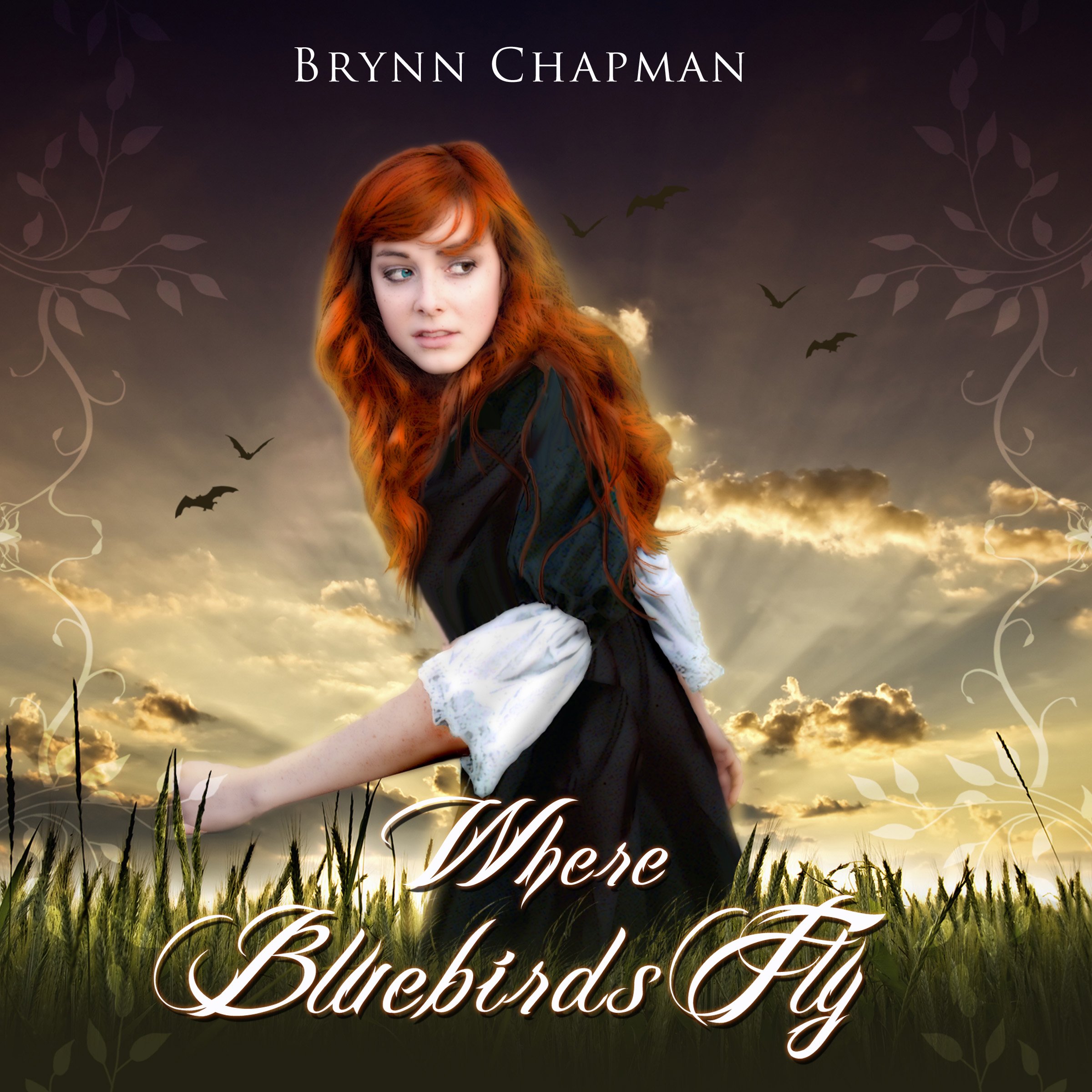 Cover art for Where Bluebirds Fly
