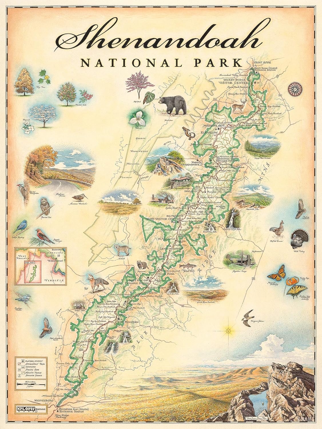 Shenandoah National Park Map Poster – 18x24 Vintage-Style Lithographic Print with Soy-Based Inks – Unique Gift for Travelers, Teachers, History Buffs – Made in USA