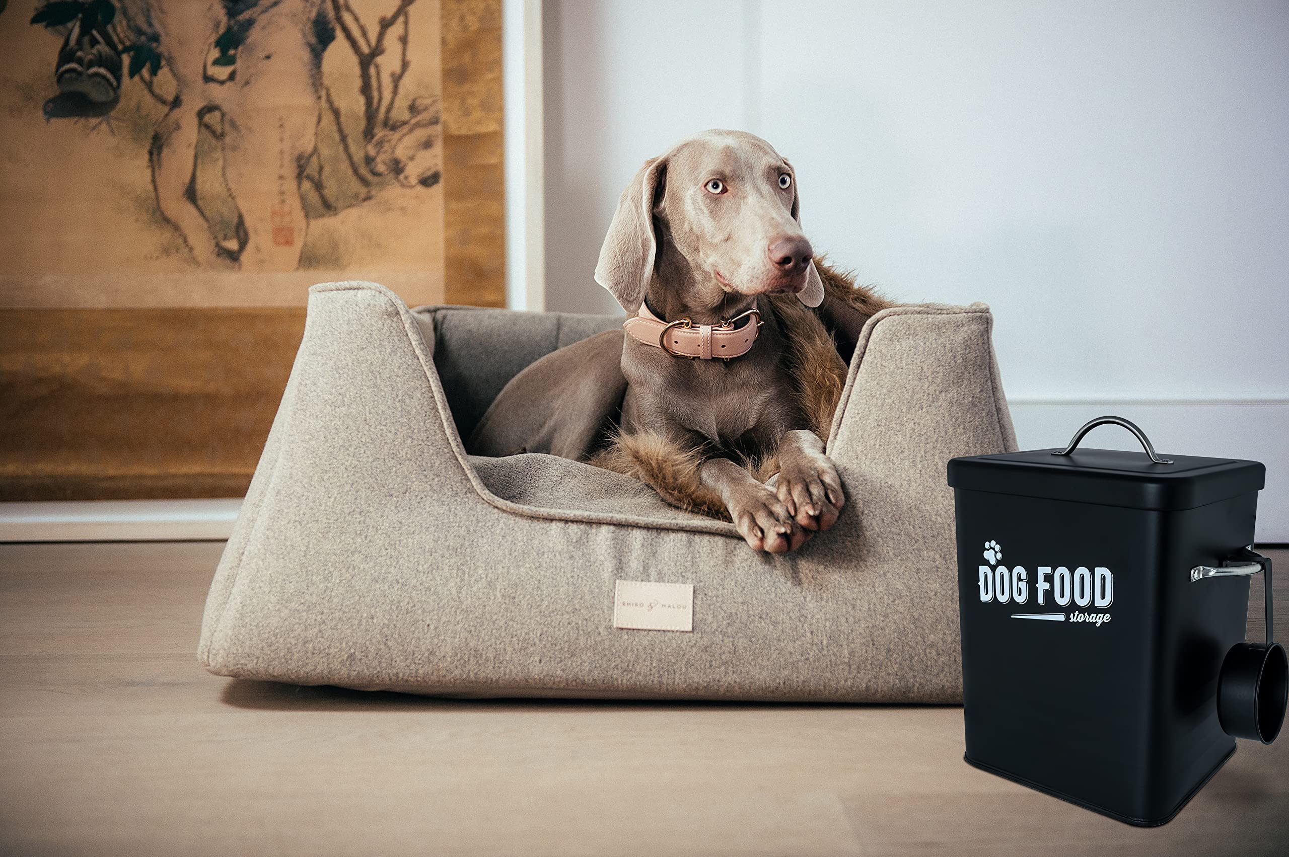 hundemantel mit bauchschutz Wintermantel fr Hndinnen ohne Beine mit Bauchschutz
