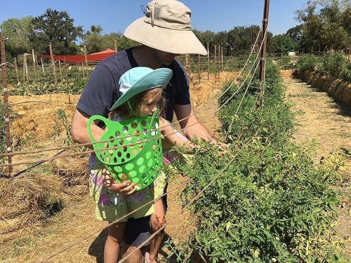 Miniatura 7 de BaleBuster1 Fórmula de acondicionamiento de pacas 100% orgánica para una preparación de pacas para plantación de jardín de pacas de paja y huerto