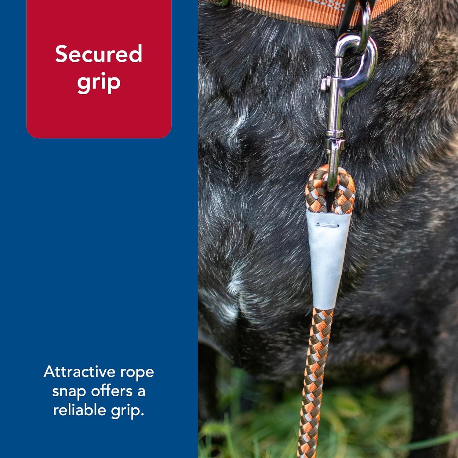 Coastal Pet K9 Explorer Reflective Braided Rope Snap Dog Leash - Heavy-Duty Leash - Comfortable & Secure Grip - Reflective Cord & Rugged Gunmetal Hardware - Rosebud, 06'
