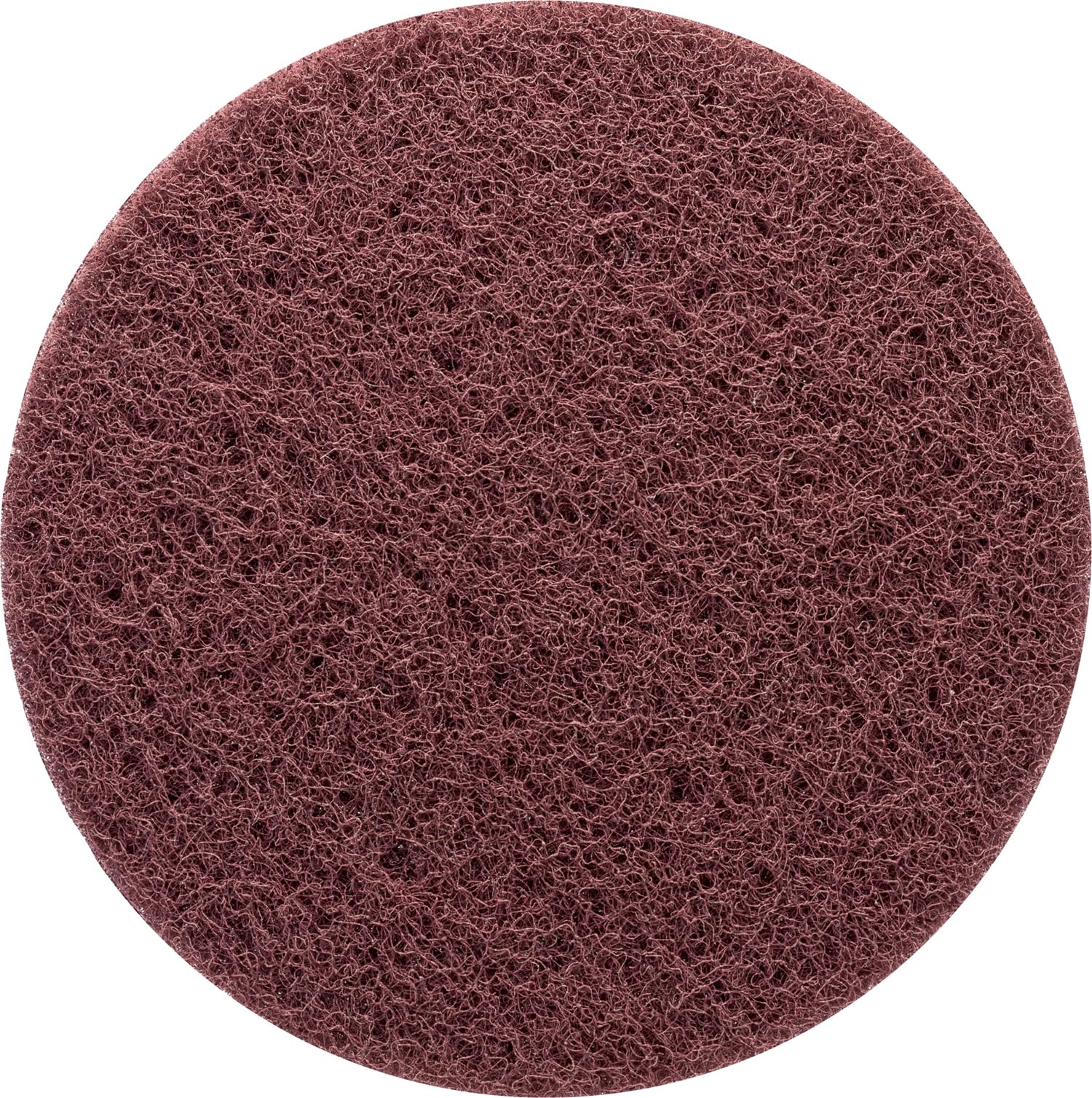 Bosch 1x EXPERT N880 Fleece Discs (for Steel sheets, Stainless steel, Ø 125 mm, Very fine A, Professional Accessory Random Orbital Sander, Random Orbital Sander)