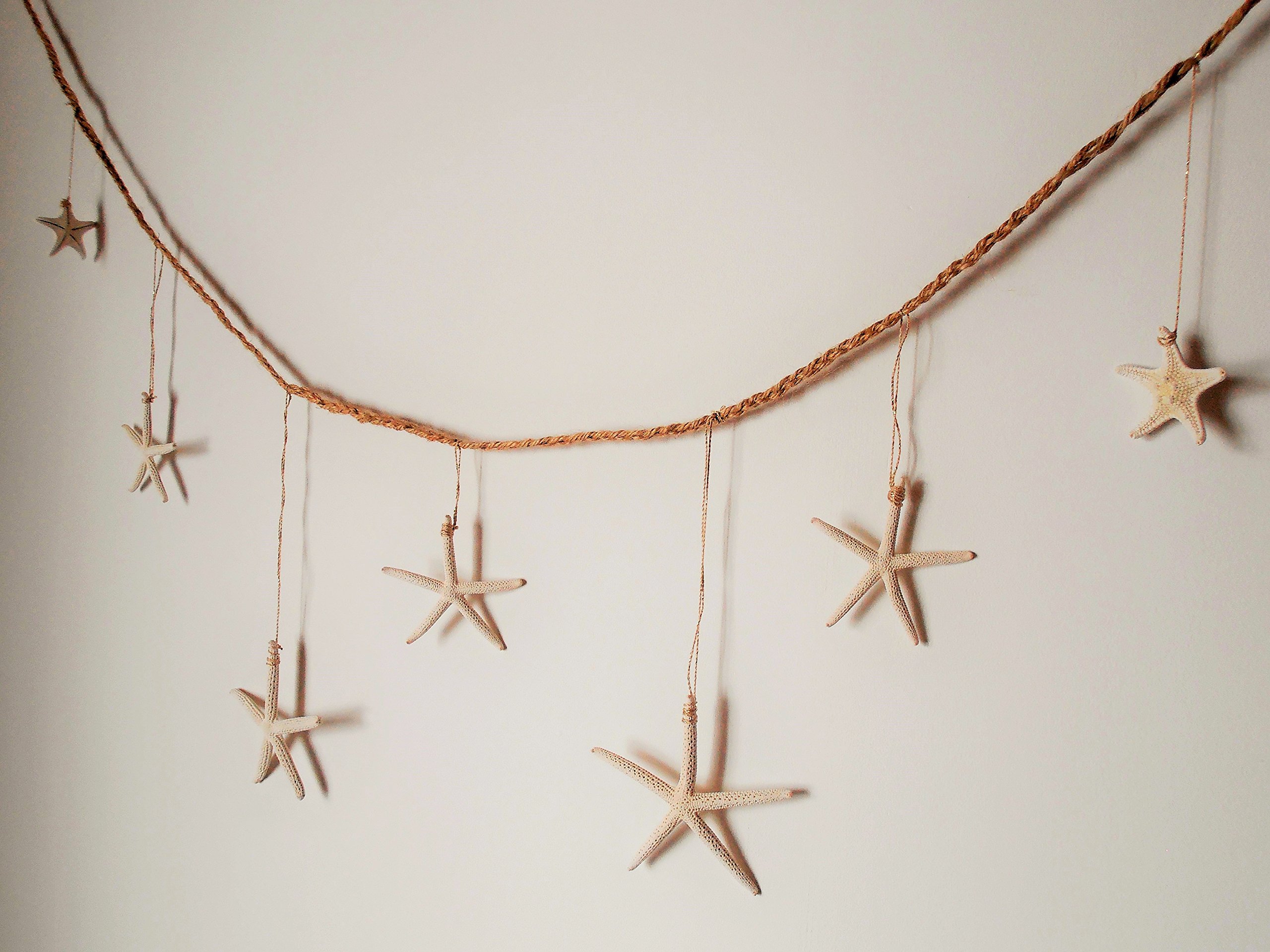 Amazon | ハワイアンインテリア ヒトデ7Pオーナメント スター