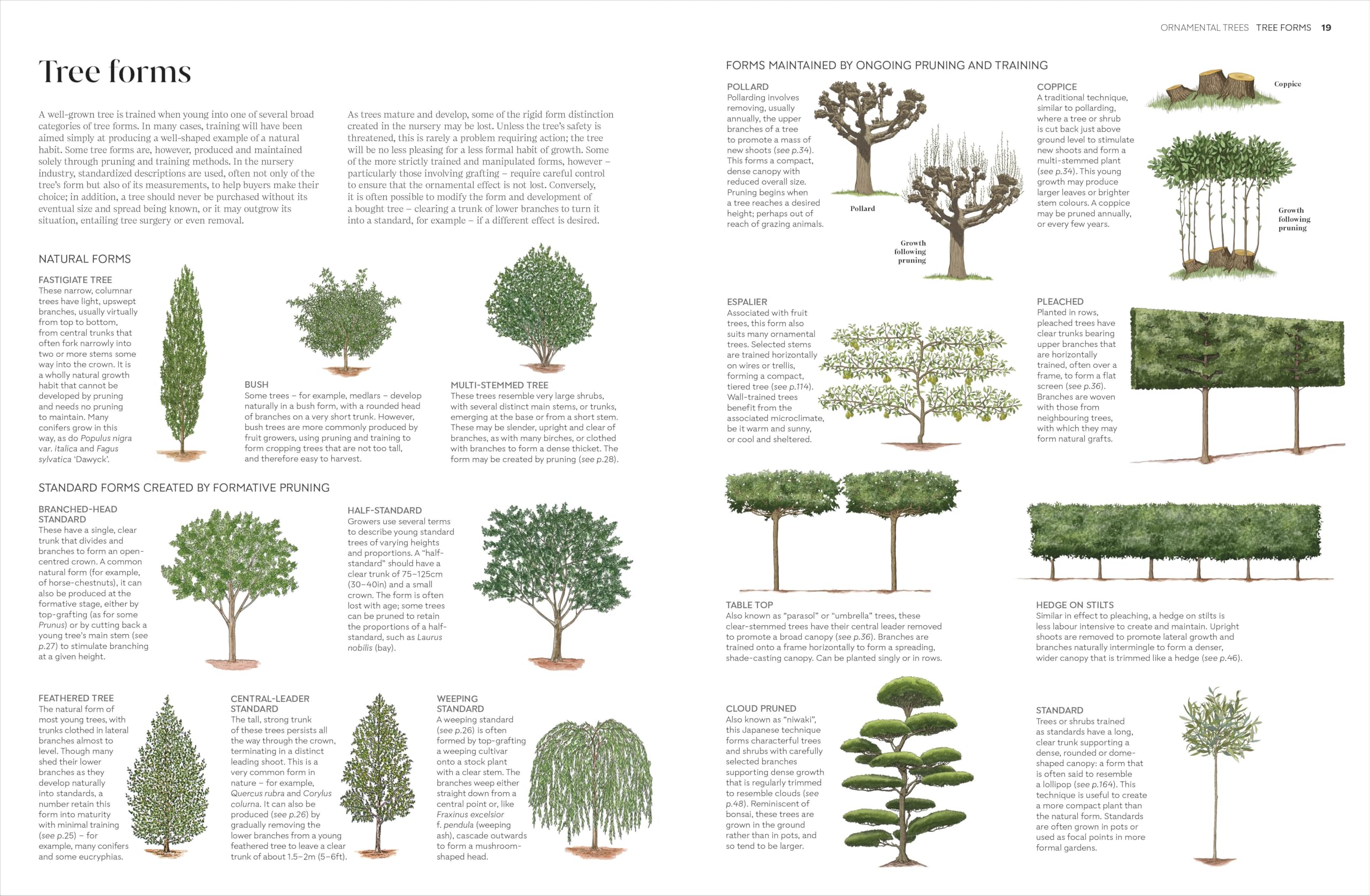 RHS Pruning and Training: What, When, and How to Prune Over 800 Plants