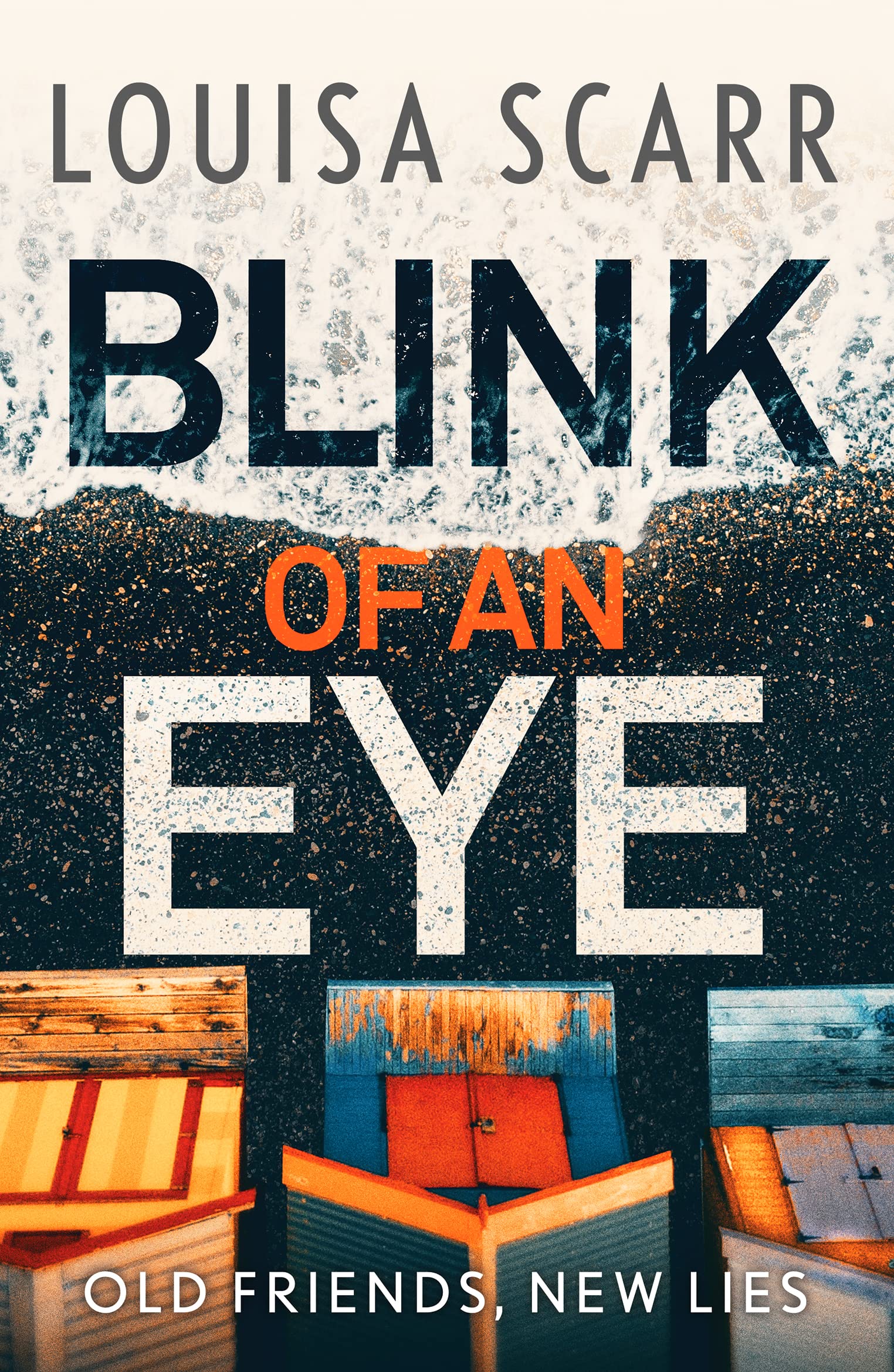 Blink of an Eye : A gripping crime thriller with an unforgettable detective duo