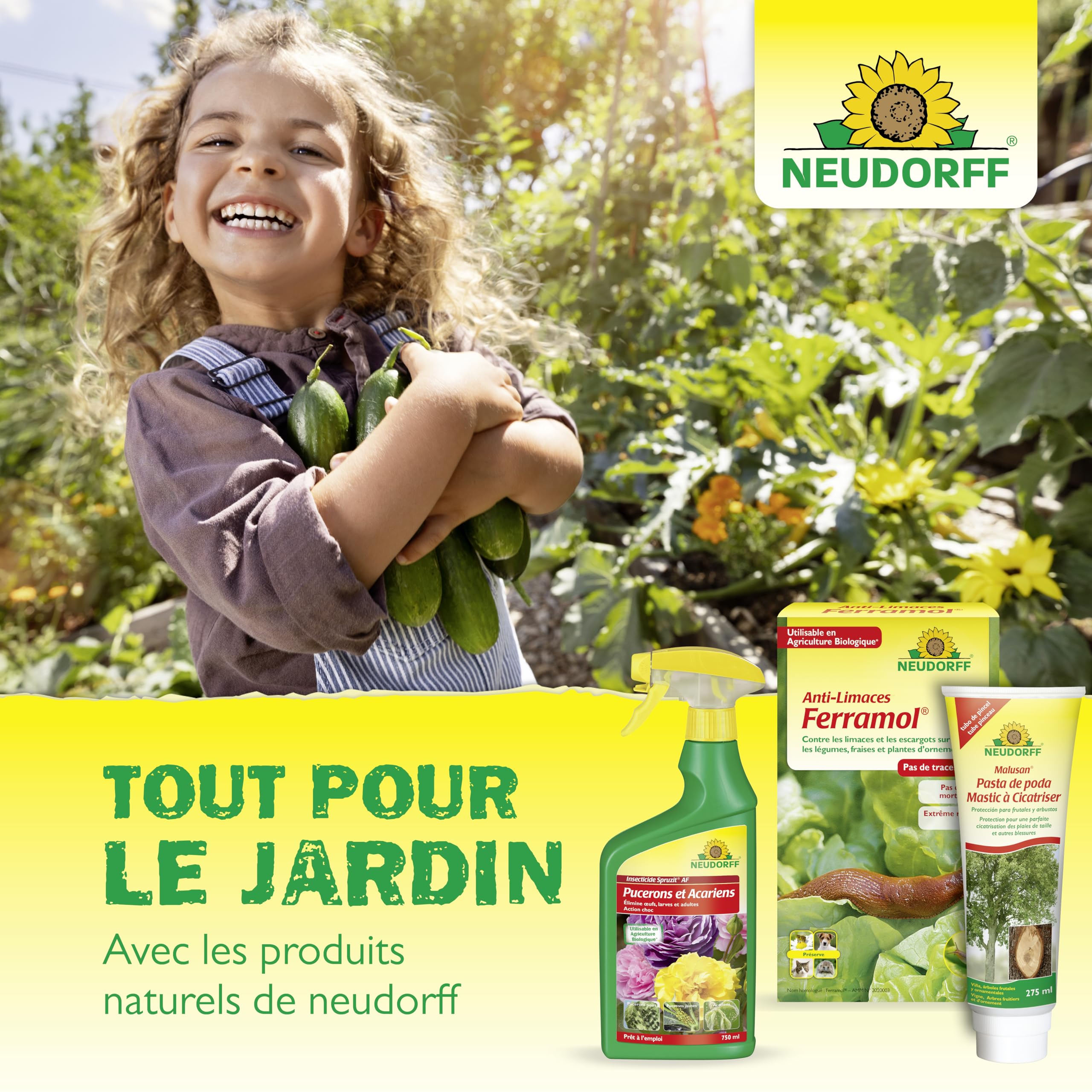 Neudorff Finalsan Désherbant Allées, Terrasses – Désherbant puissant sans glyphosate, action rapide sur mauvaises herbes et mousses, 1 L