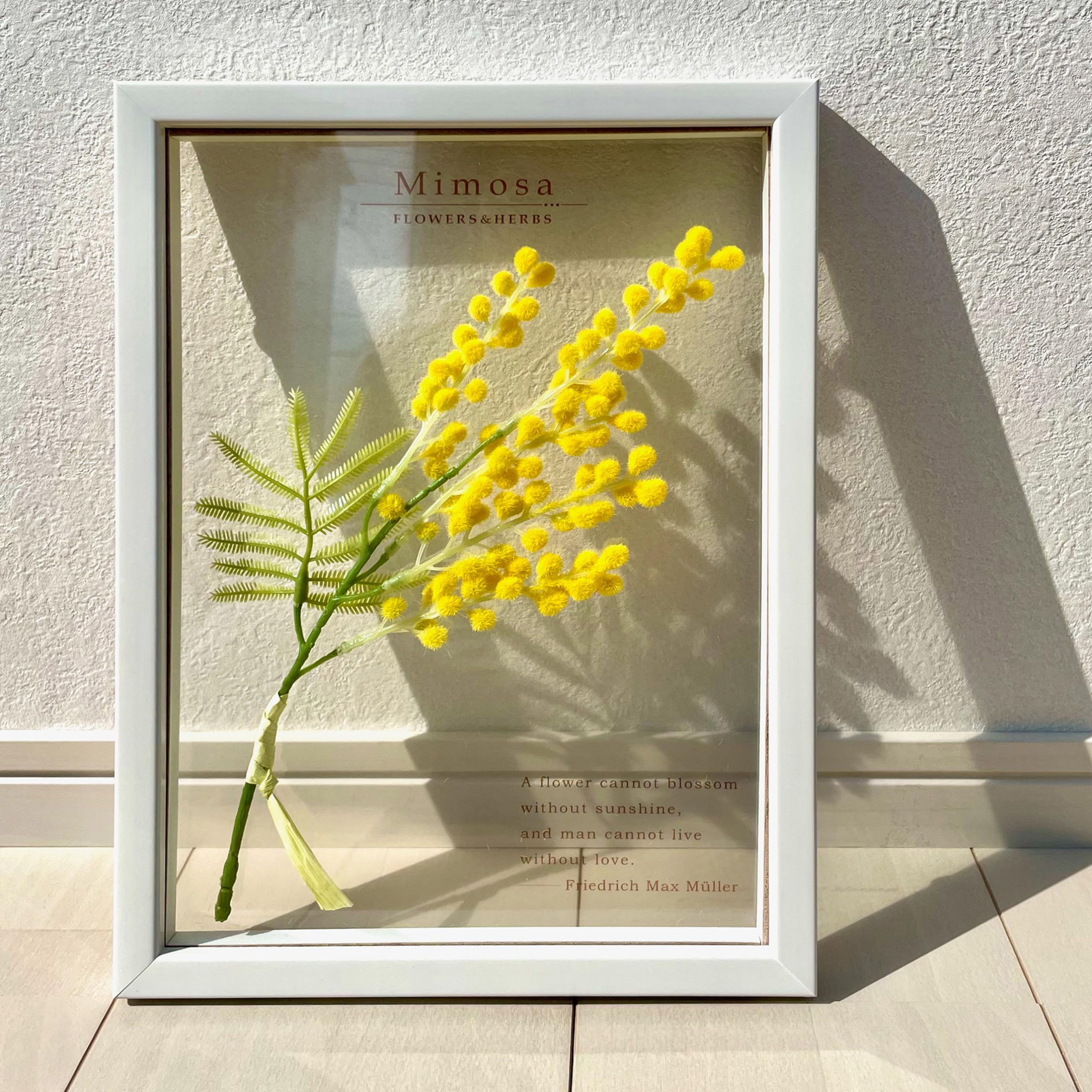 絵画　壁掛け　アート　和紙ナチュラル　ボタニカル　フレーム ガラス入り 絵画 壁掛け アート 和紙ナチュラル ボタニカル フレーム ガラス入り