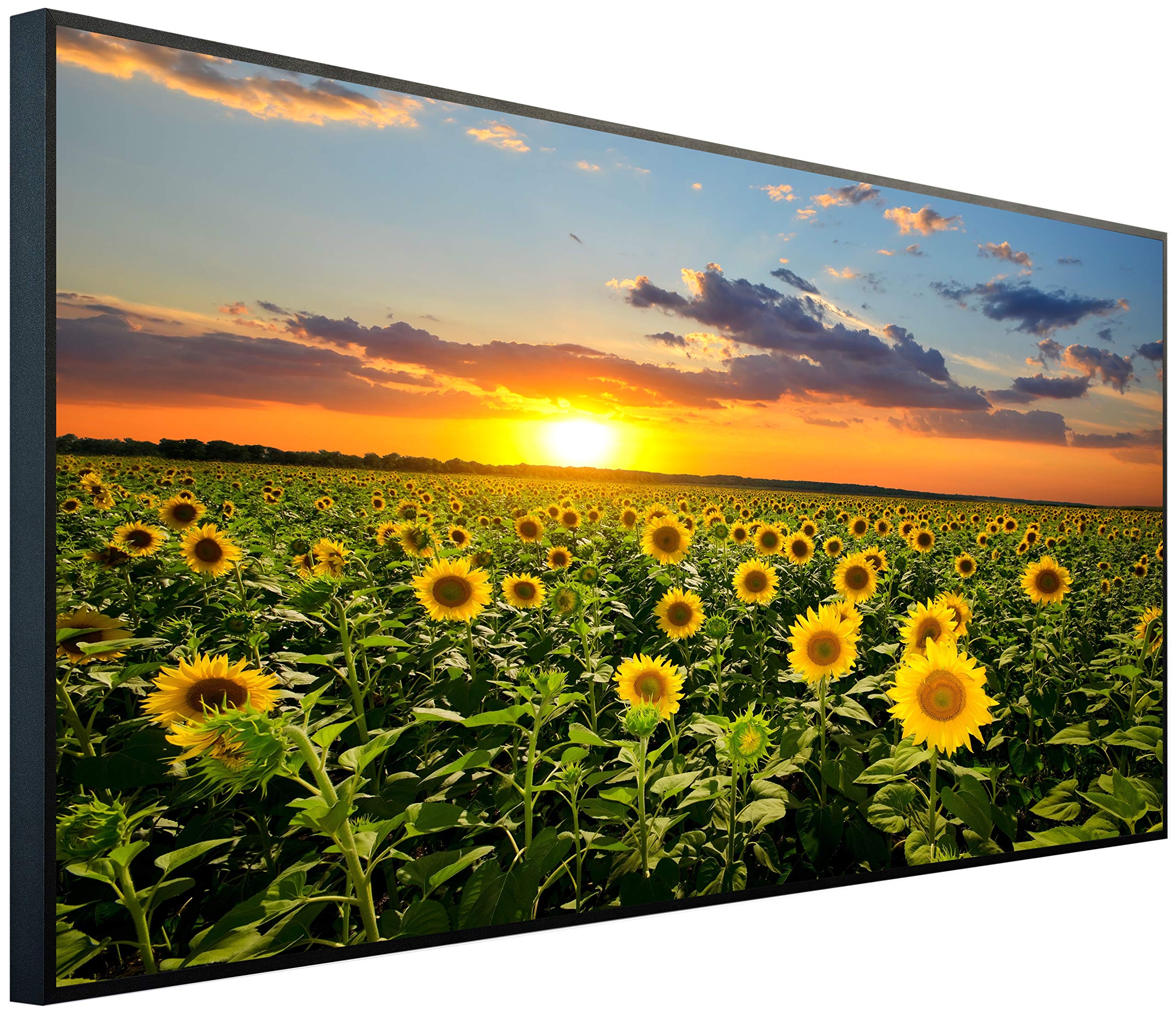 Ecowelle D 19 Sunflower Field Infrared Heater With Image | 750 Watts | 60X100cm | Infrared Heating| | Made In Germany