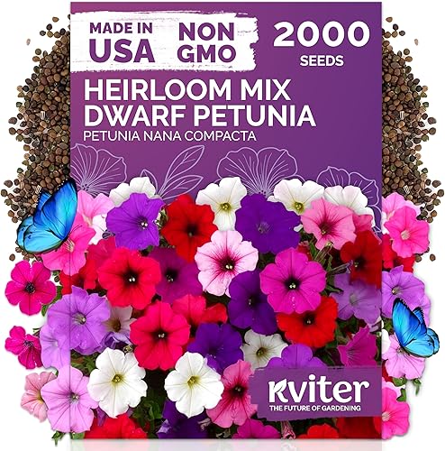Miniatura 42 de KVITER 7000 semillas de milenrama roja (Achillea Millefolium Rubra) - Semillas de flores perennes para plantar en el exterior, reliquia y orgánicas