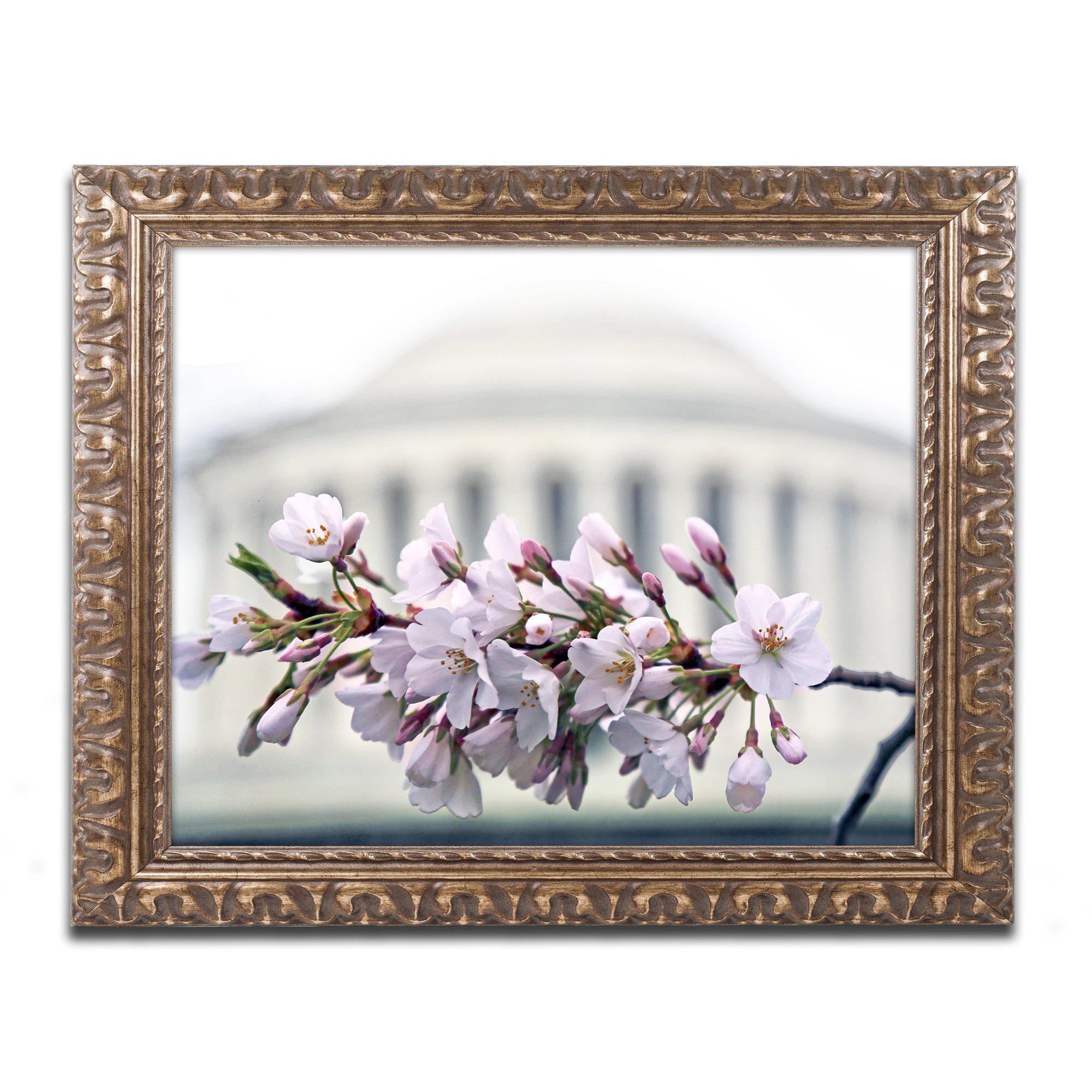 Jefferson Memorial Blossoms by CATeyes, Gold Ornate Frame 16x20-Inch