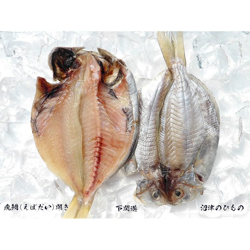 沼津のひもの えぼ鯛 大10枚 橘水産 Gqpsf2kwko Studpac Ro 沼津のひもの えぼ鯛 大10枚 橘水産 Gqpsf2kwko Studpac Ro