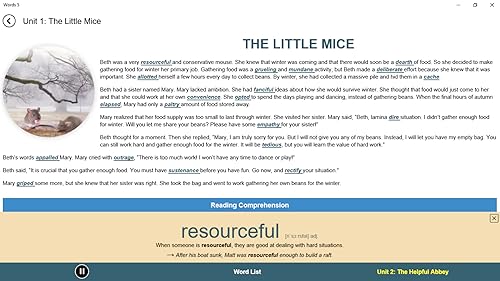 4000 Essential English Words 5