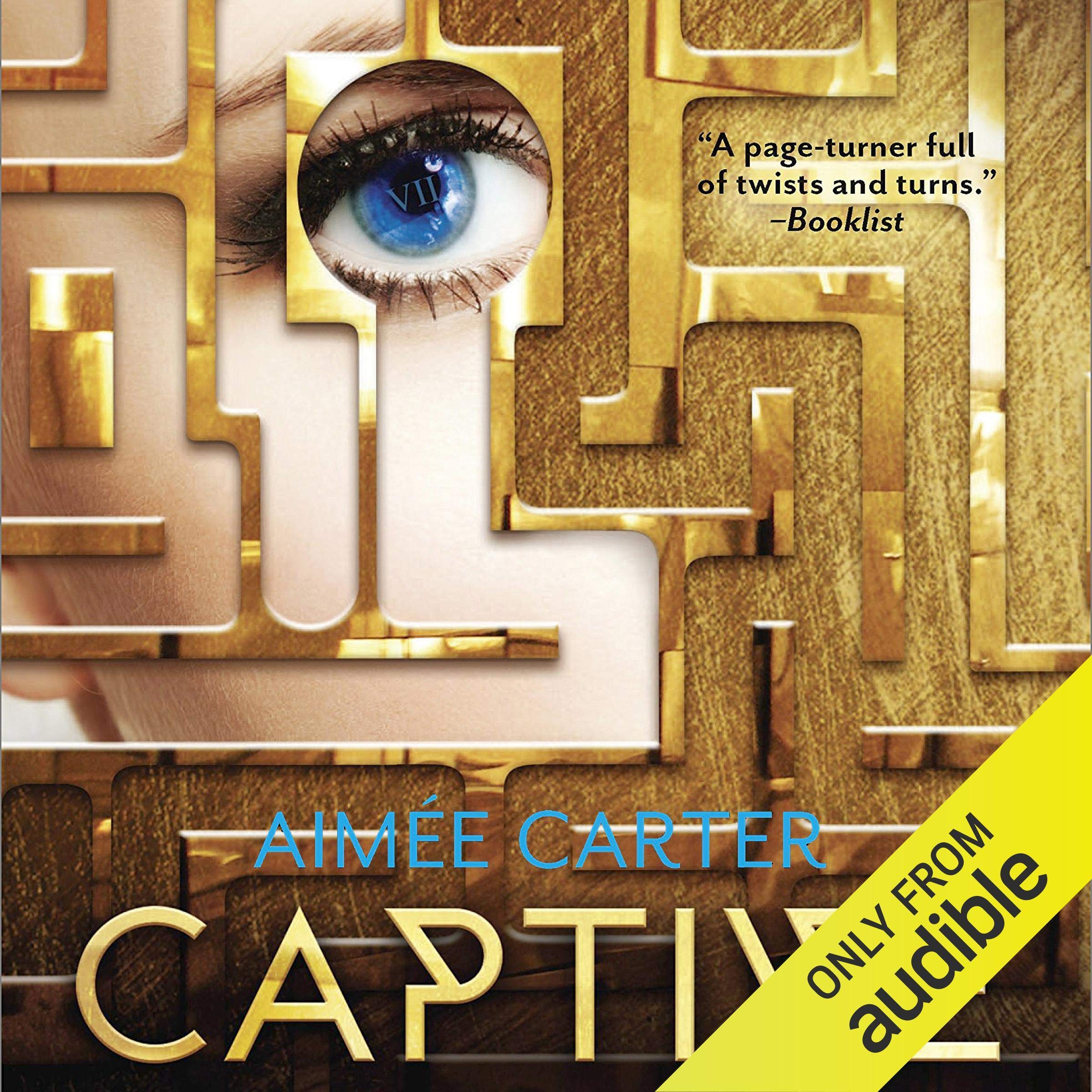 Cover art for Captive