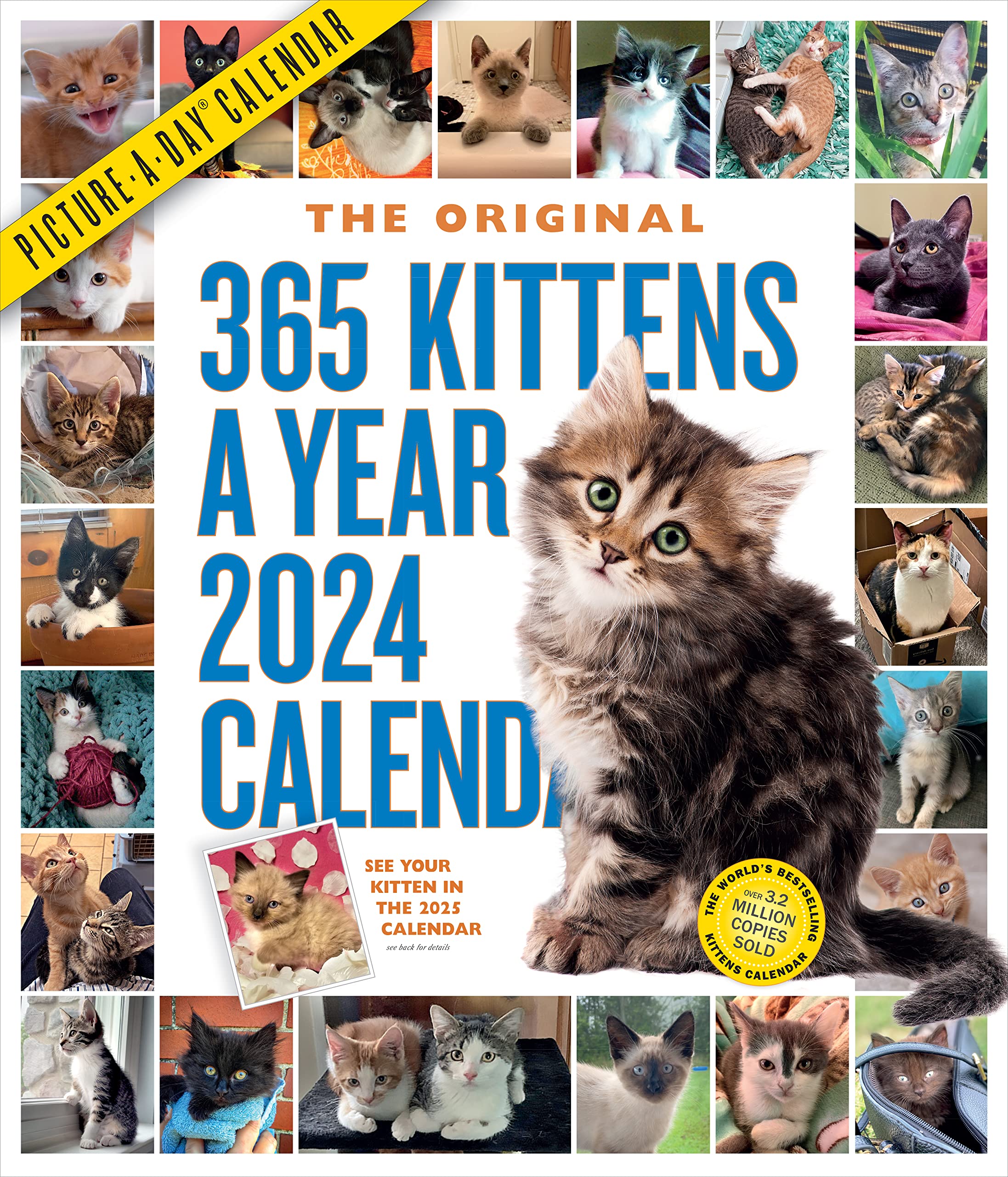 365 KittensAYear PictureADay Wall Calendar 2024