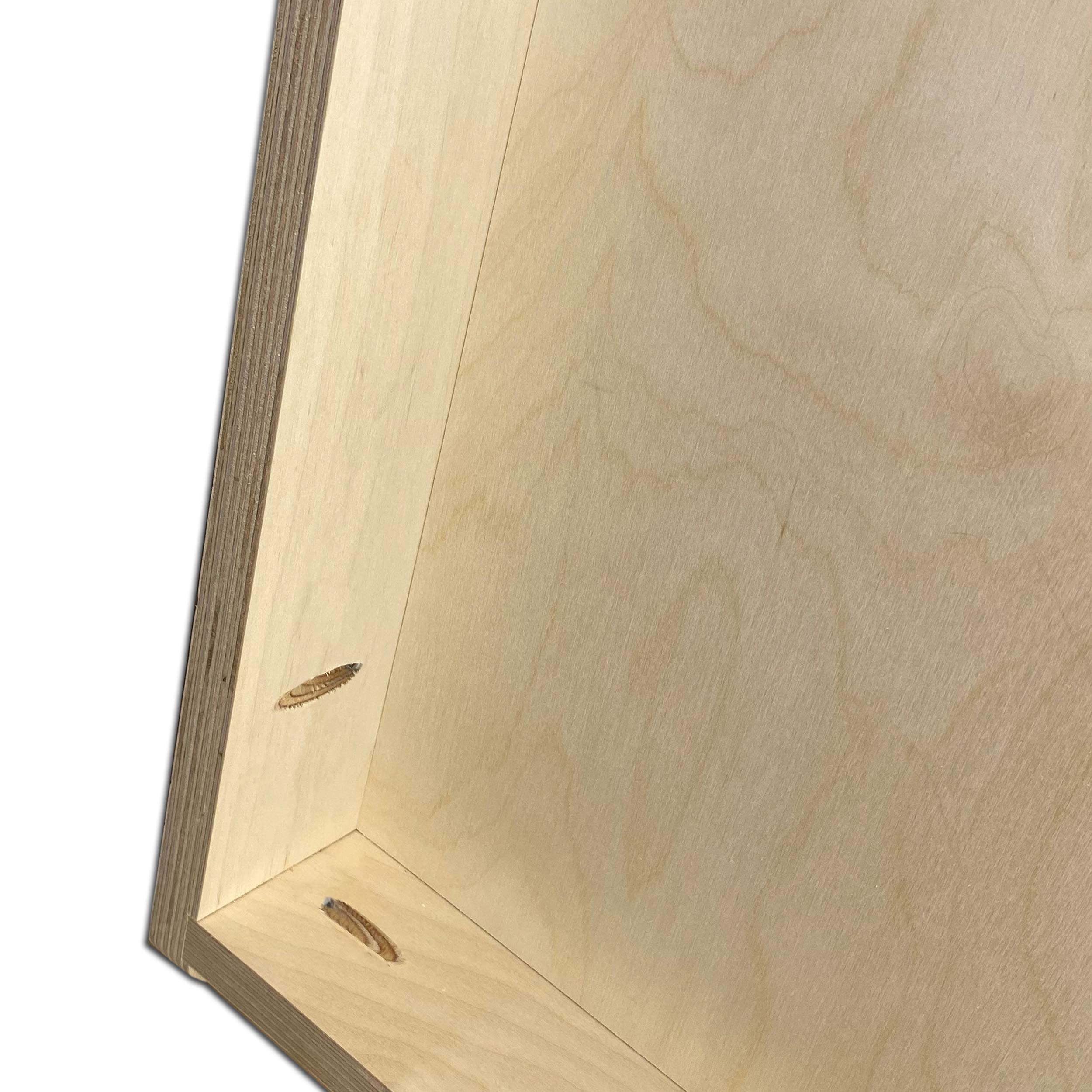 Outdoor Series Pro Cornhole Boards - No Bounce! ACE Pro Series, Made of 3/4 inch Baltic Birch Plywood, Includes Handles, Made in USA, Pro Tournament