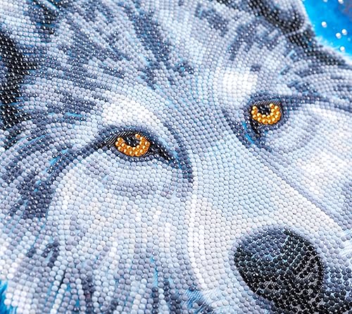 Miniatura 6 de Crystal Art Kit de arte de pared enmarcado mediano (11.8 x 11.8 pulgadas), lobo luz de luna, kit de pintura de diamantes para edades de 8 años en