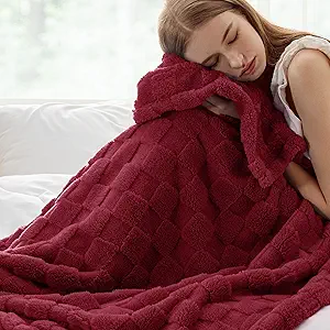 Bedsure GentleSoft Twin Blanket for Bed Red - Super Soft Cozy Blankets for Women Men Girls, Cute Fuzzy Fleece Throws for Bedroom Couch, 60x80 Inches