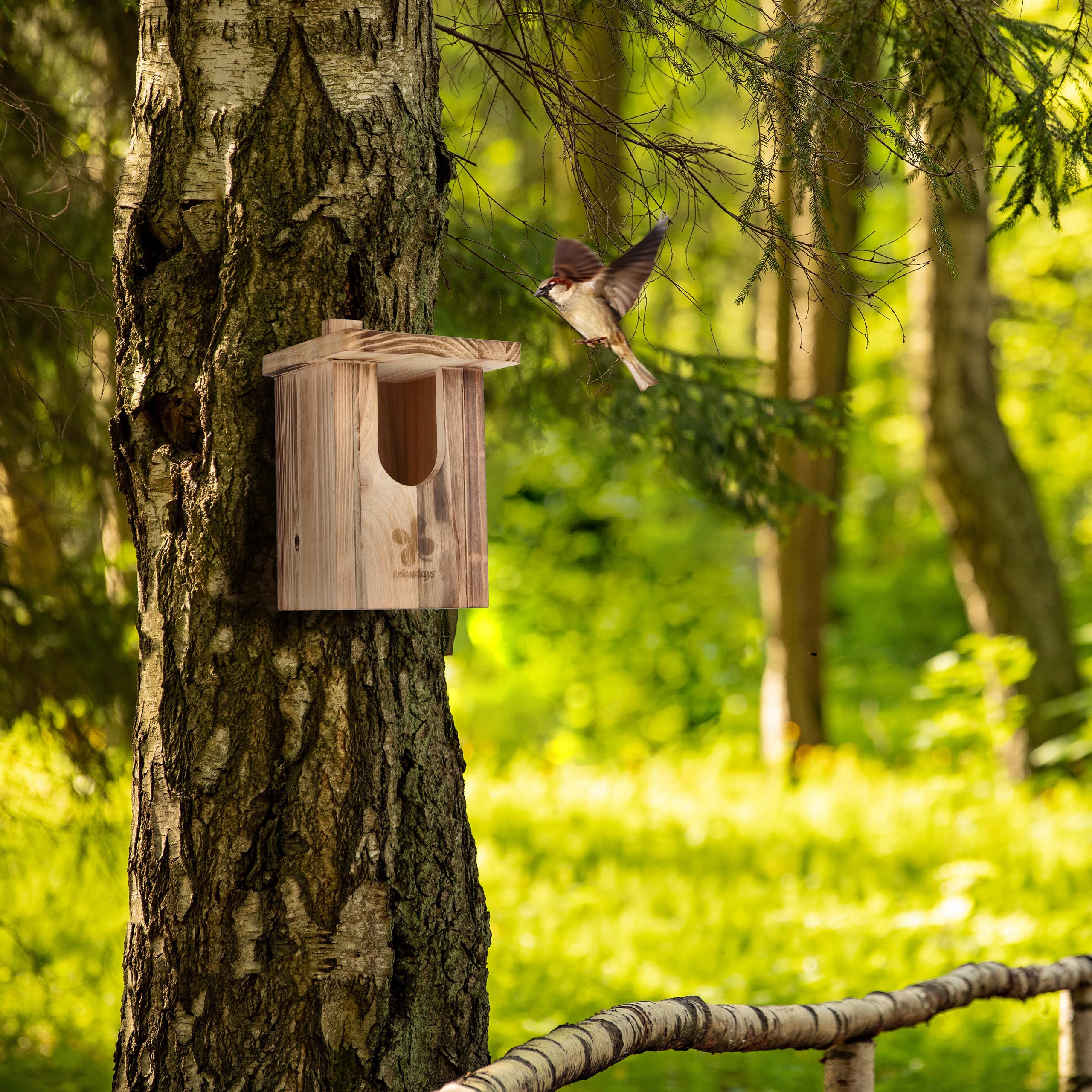 Relaxdays Caseta Nido Pájaro Colgante, Casa Anidación Aves Madera, Pajarera Agujero Entrada 95x55 mm, Natural