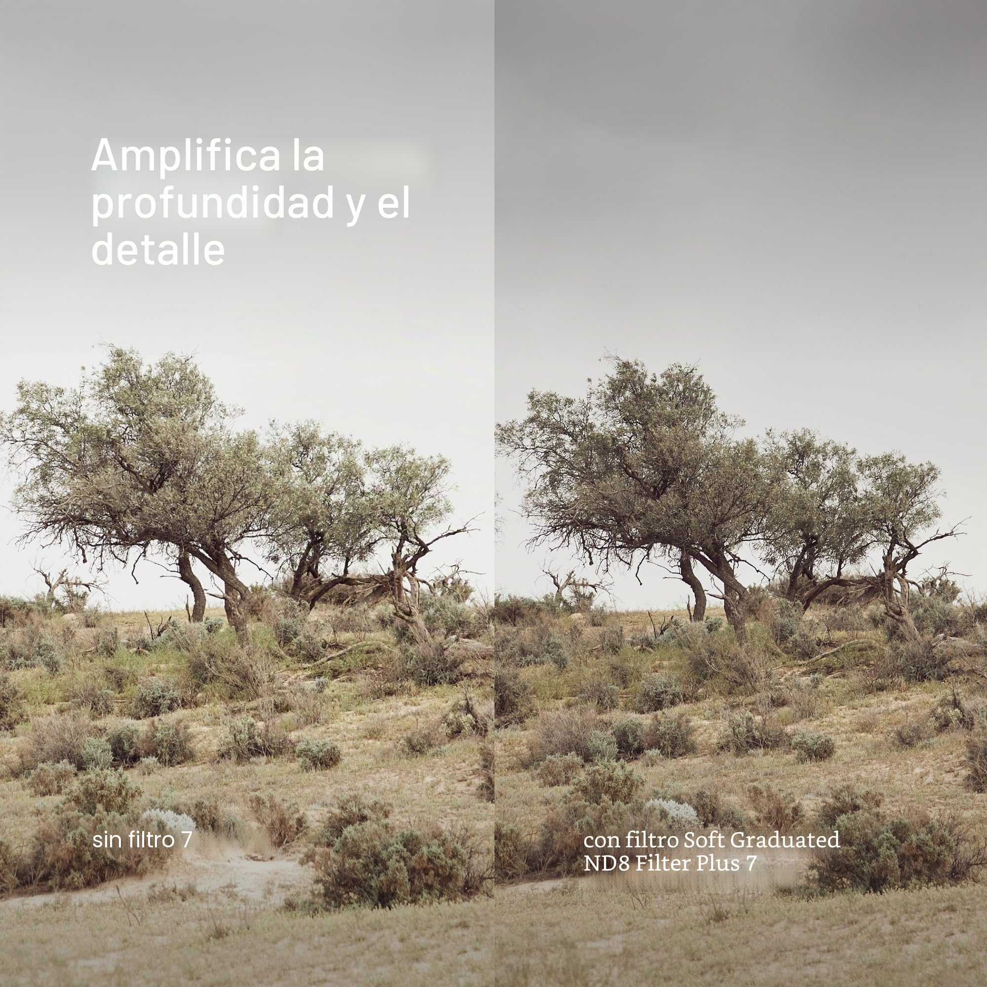 Urth 67 mm Filtro ND8 Graduado Suave para Objetivo — 3 Pasos, Vidrio óptico HD con Nano-Recubrimiento de 20 Capas, Filtro Degradado Suave de Densidad Neutra para Equilibrio de exposición | Provenza Francia. Embalaje seguro. Viene con Factura, incluido IVA