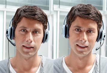 Logitech Stereo Headset H250 - Graphite