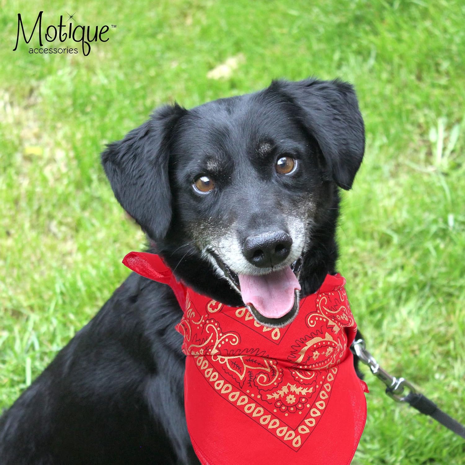 22 Inch Cotton Paisley Bandana - Tan : Clothing, Shoes & Jewelry