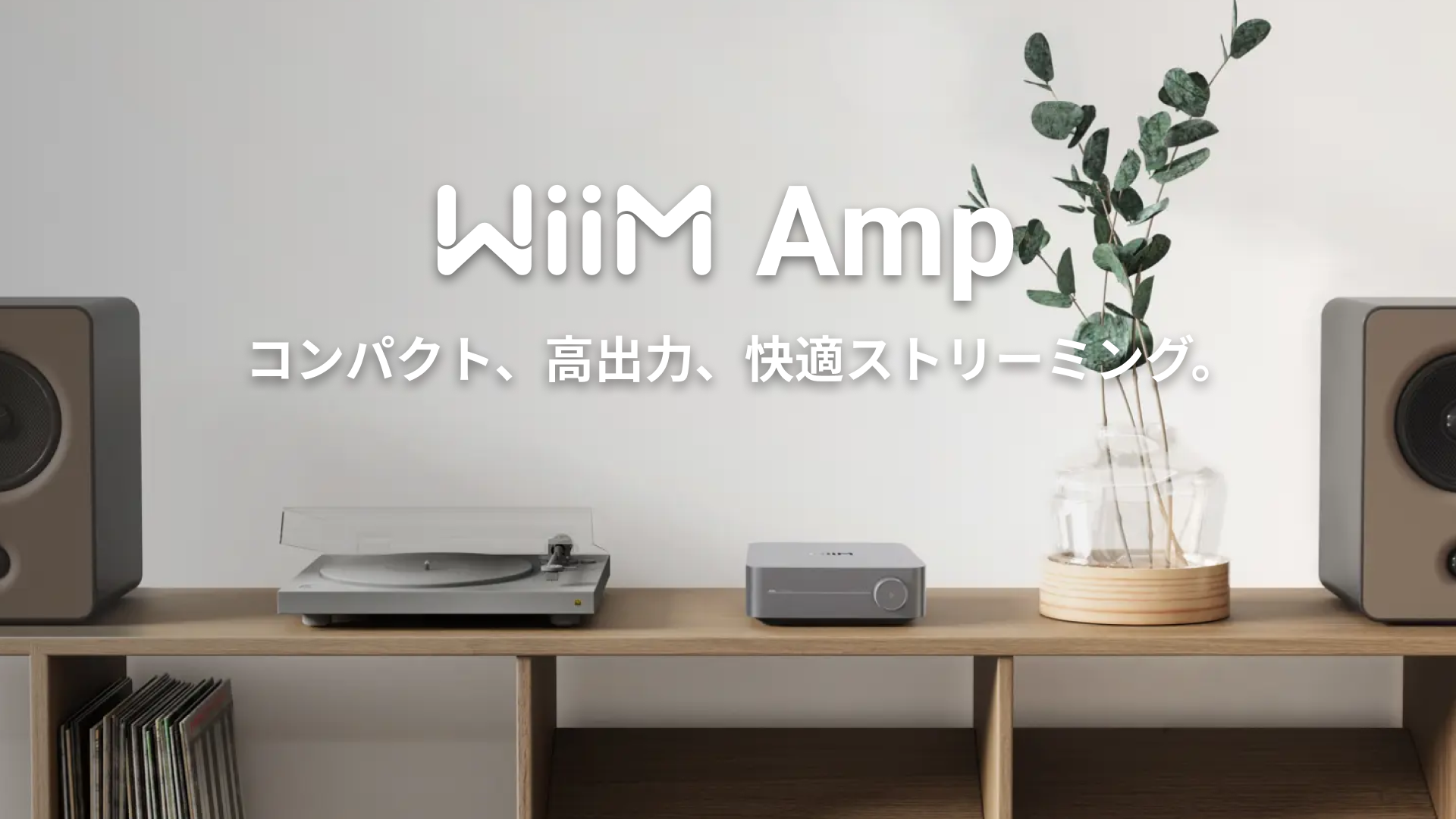WiiM Amp Amplificateur de Streaming Multiroom
