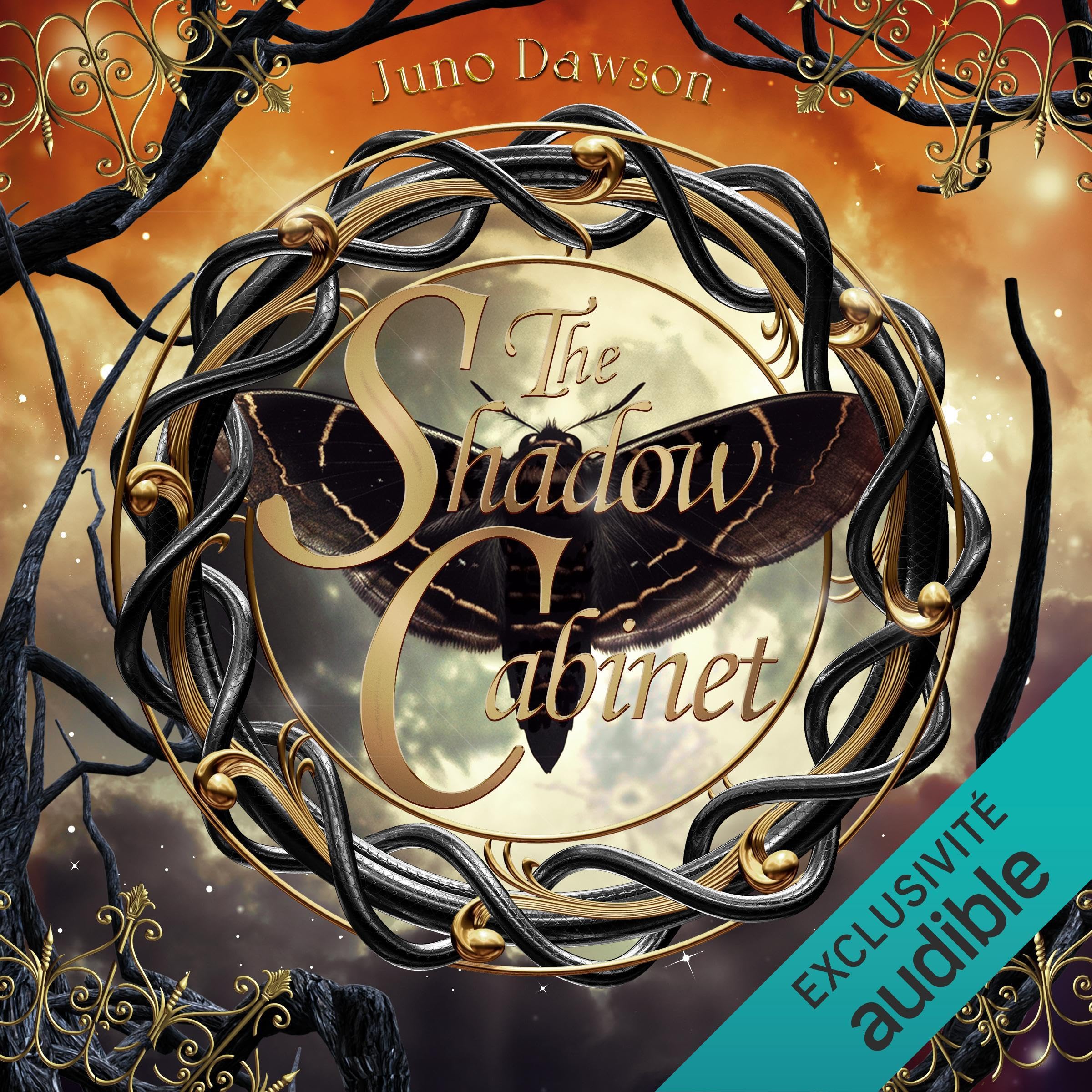 The Shadow Cabinet (French Edition)